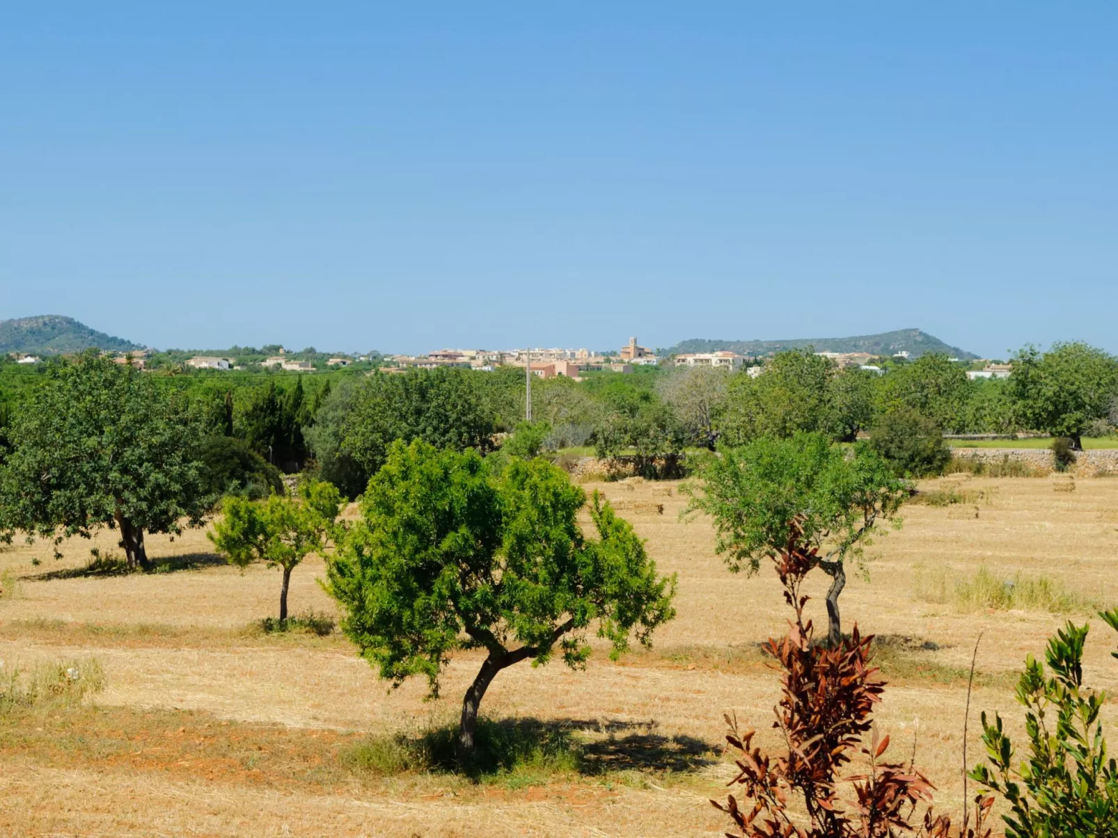 Cullera - Buiten