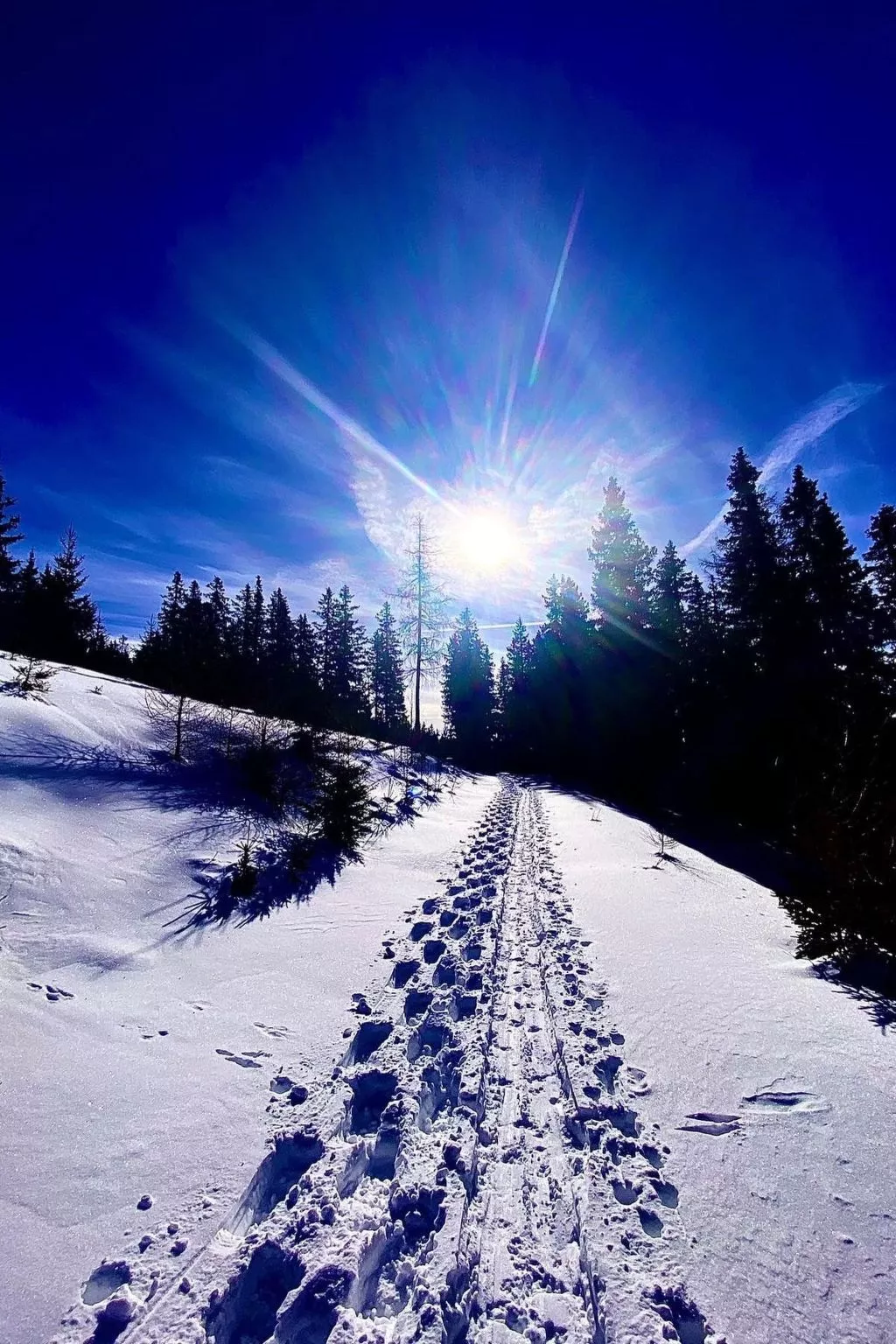 Jagdhütte - Image-tags.info