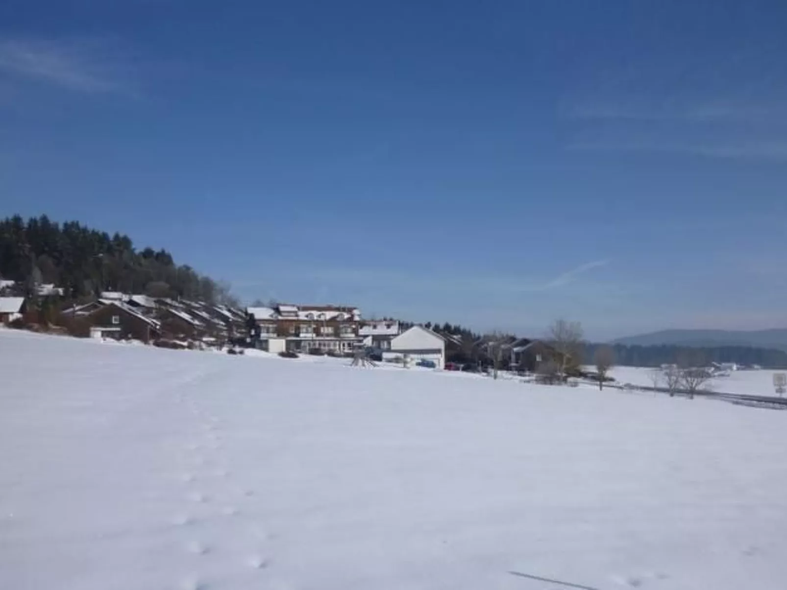 Livi - Image-tags.info