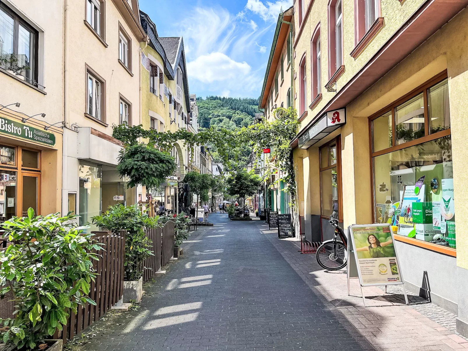 Terrassenhaus - Omgeving