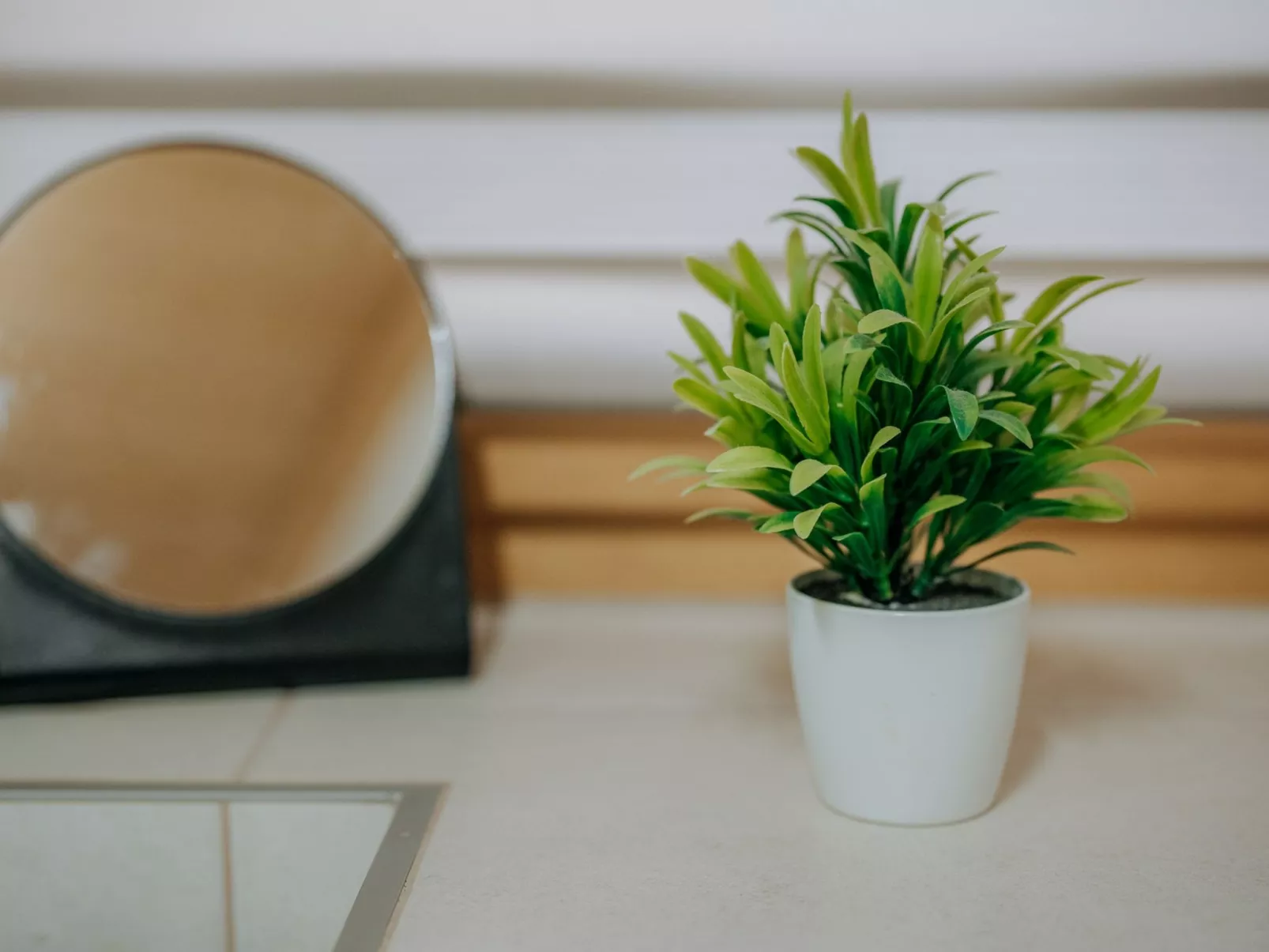 Góralskie Zacisze - Binnen