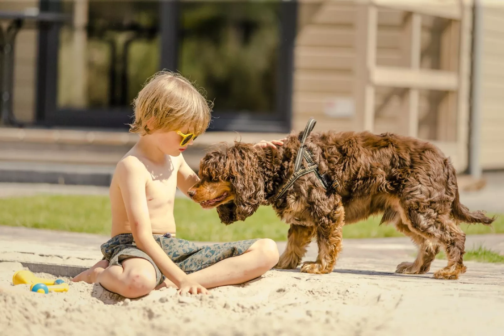 Vakantiepark Mölke 16 - Sfeer