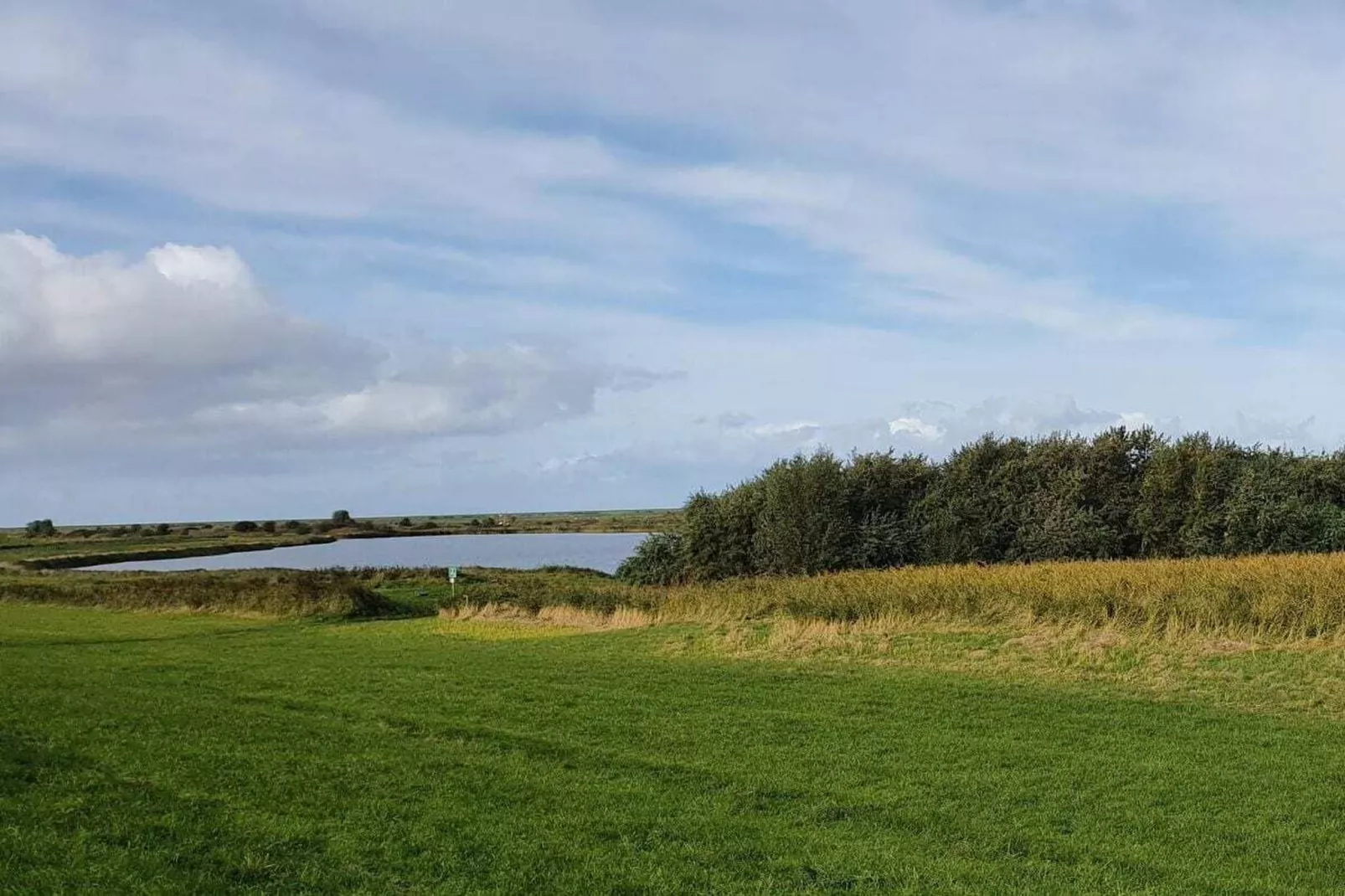 410843-Gebieden zomer 5km