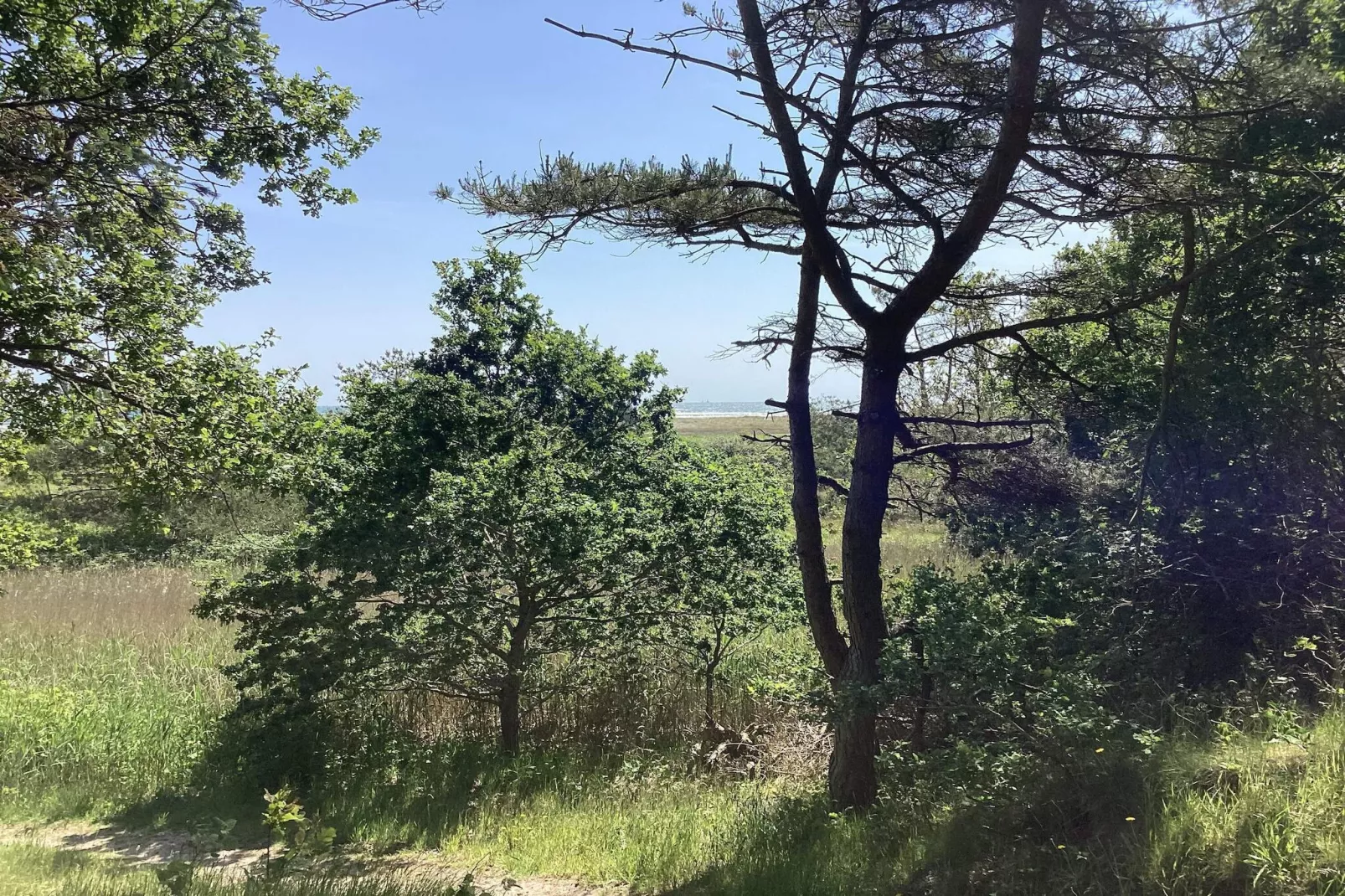 6 Personen vakantie huis in Hals-Niet-getagd