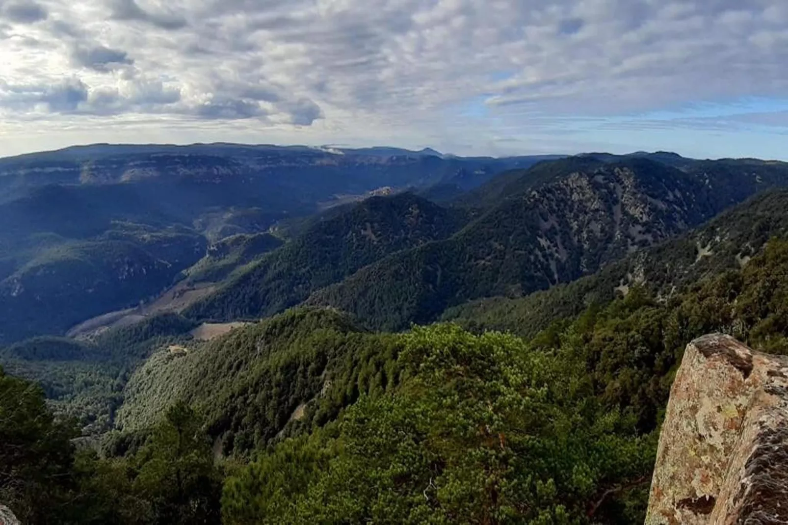 Cal Tous - Gebieden zomer 20km