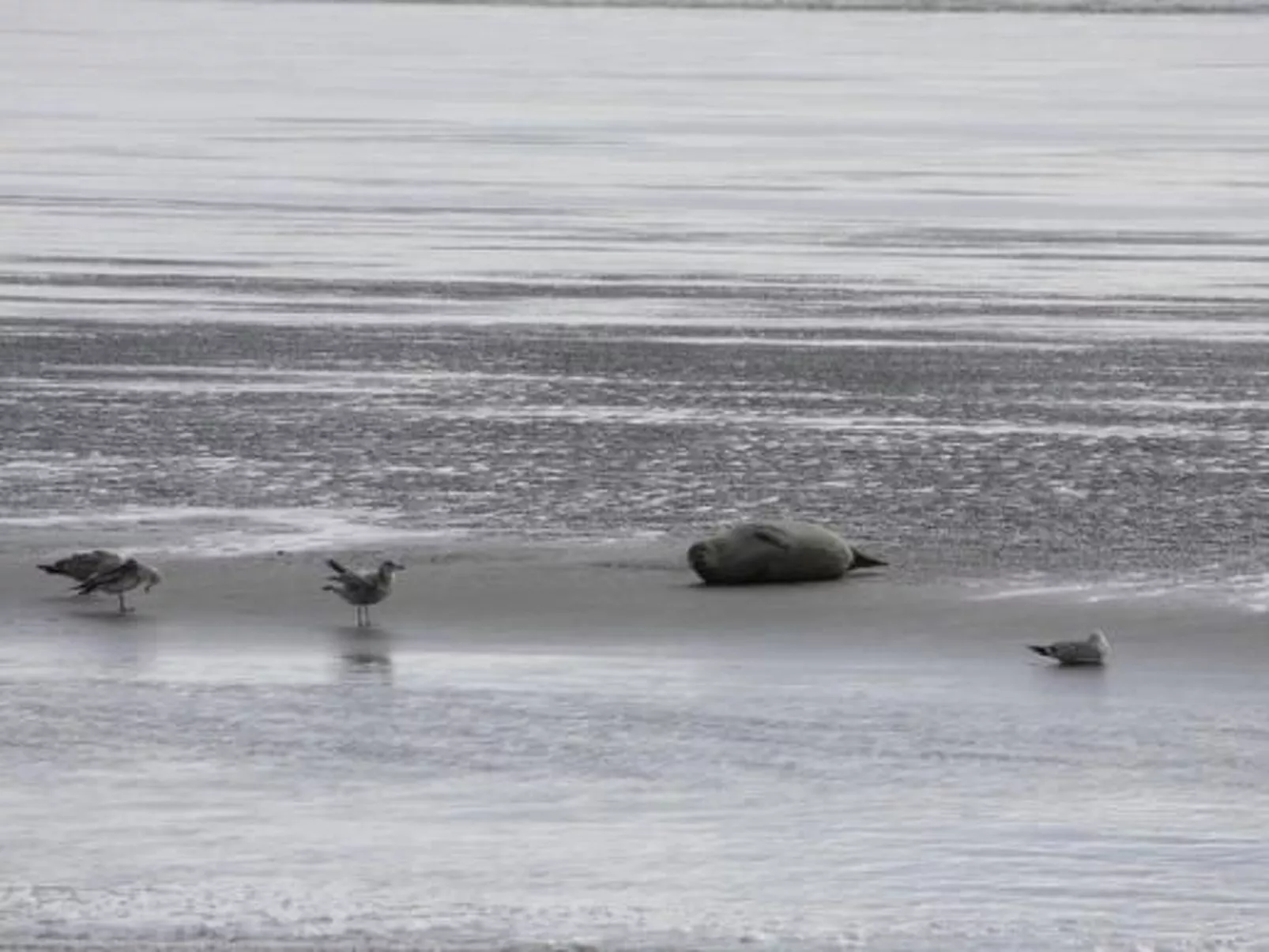 Wellnesshaus Seeperle - All Inklusive - Image-tags.info