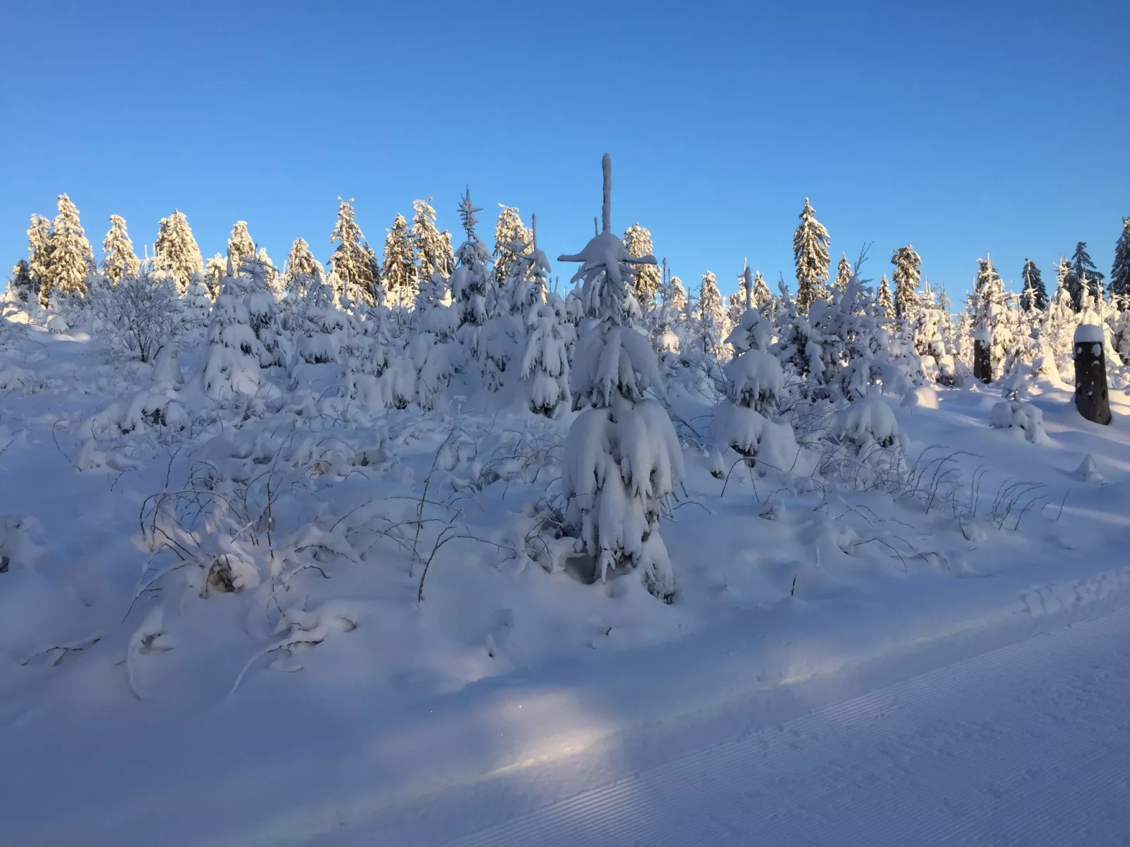 Fachwerkliebe - Image-tags.info