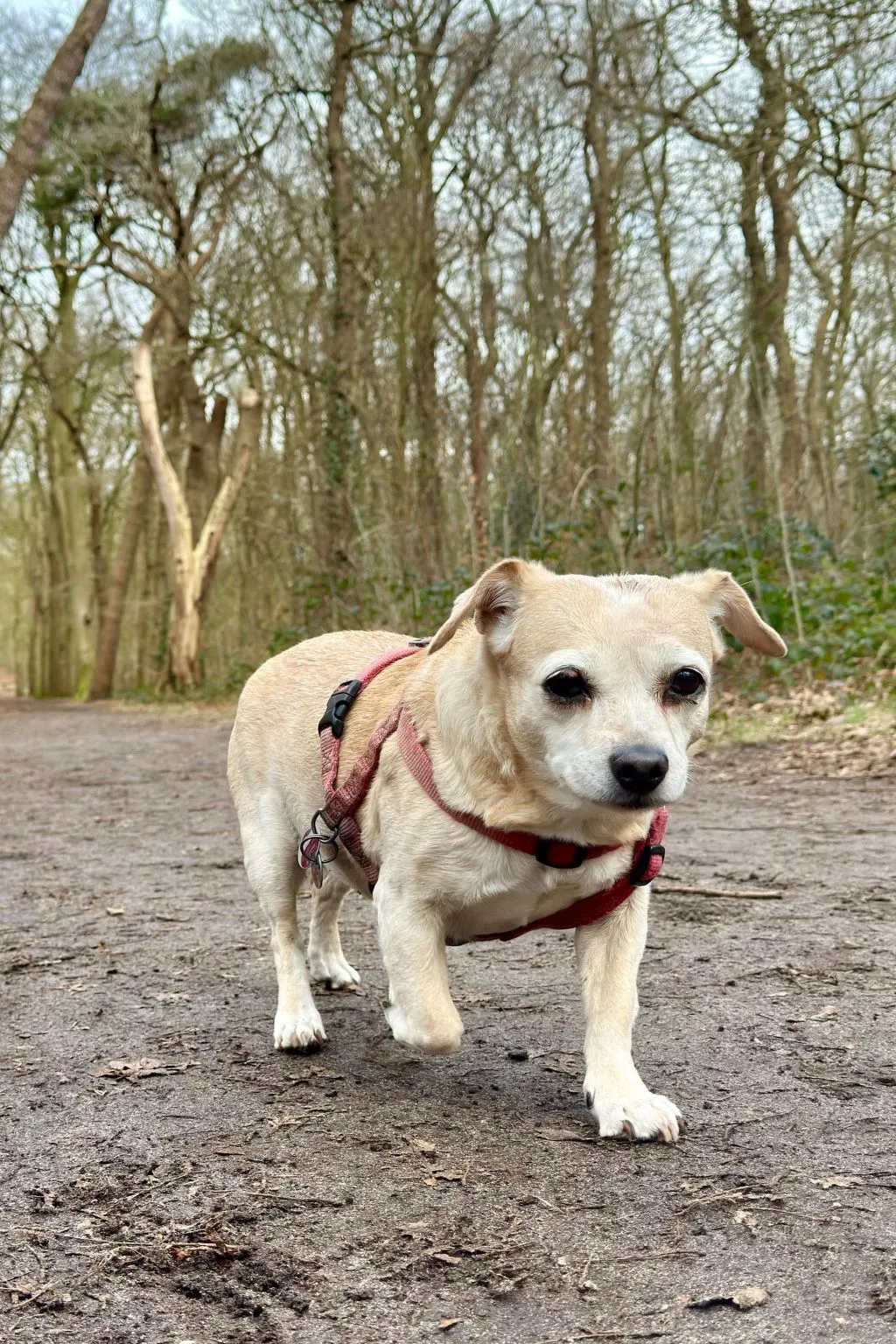 Rekerlanden 174 - Buiten