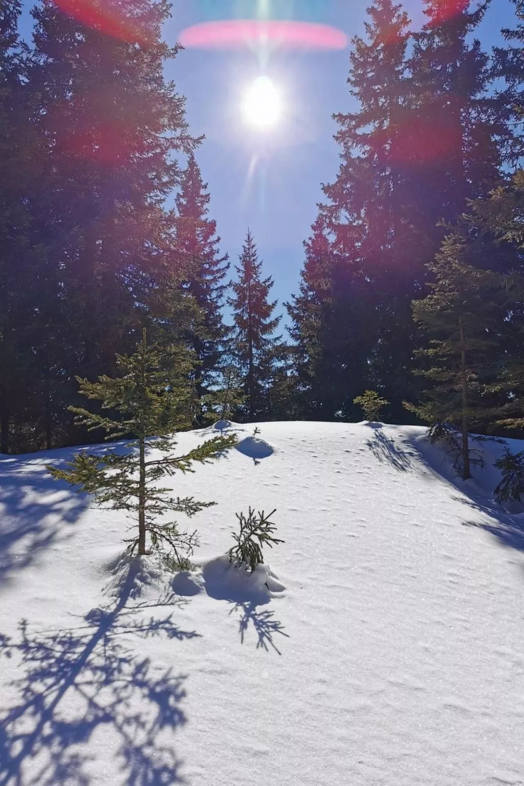 Jagdhütte - Image-tags.info