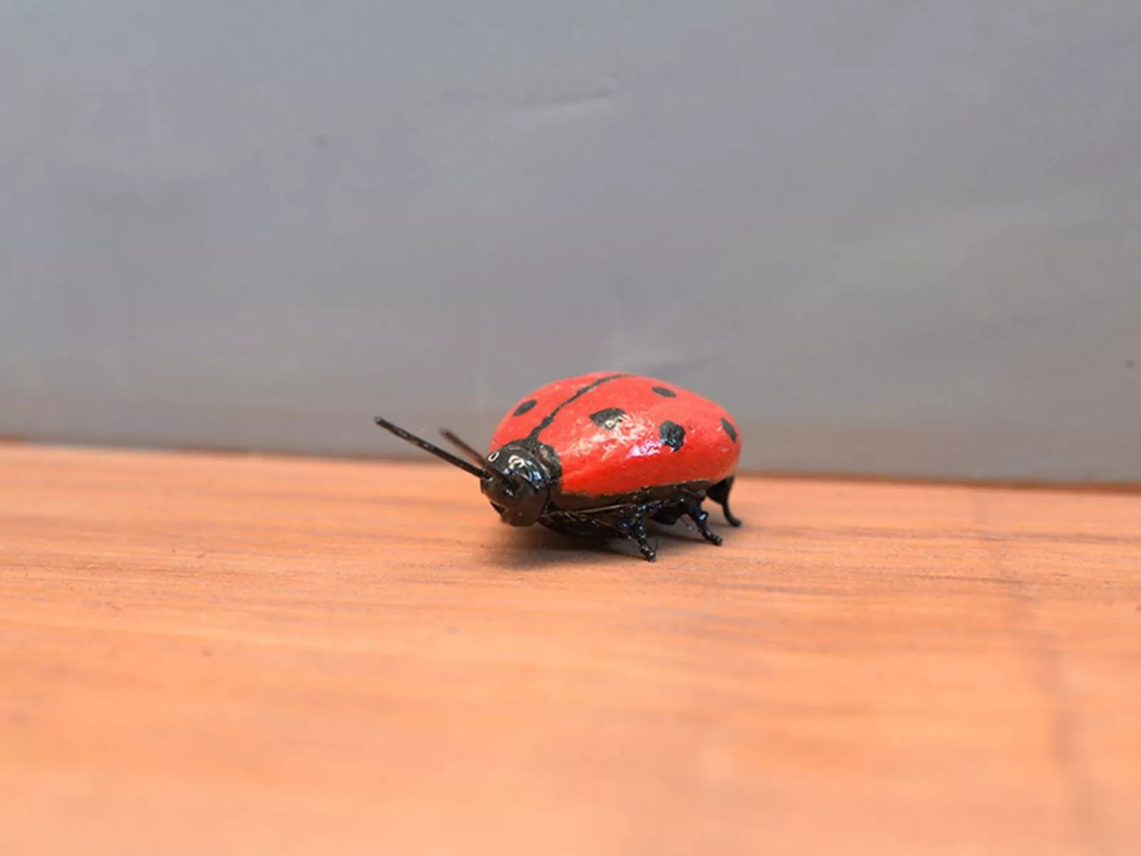 Rustikales Triplex für bis zu 18 Personen - Pobla de Lillet - Image-tags.info