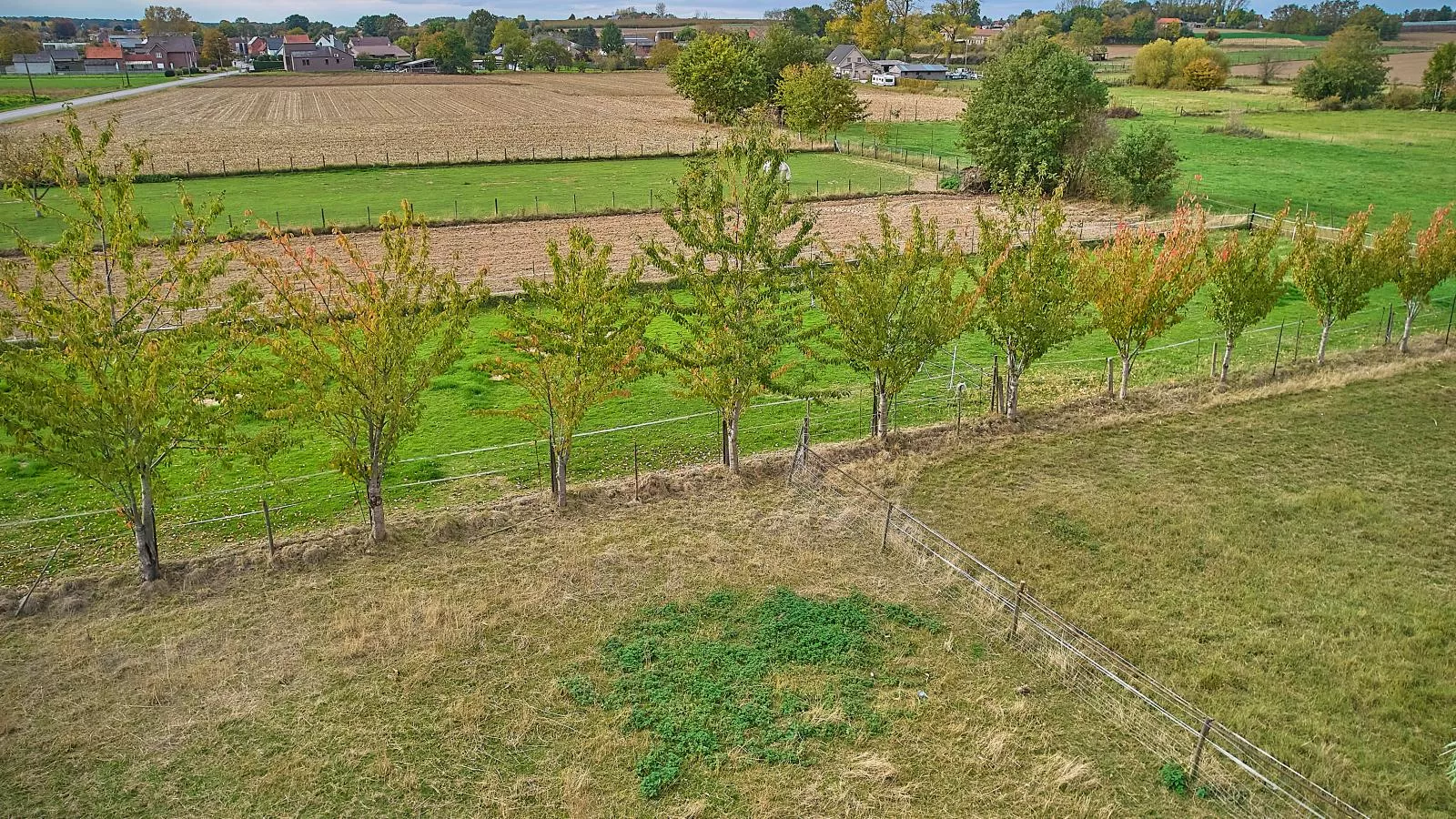 Quanto A  B-Tuinen zomer