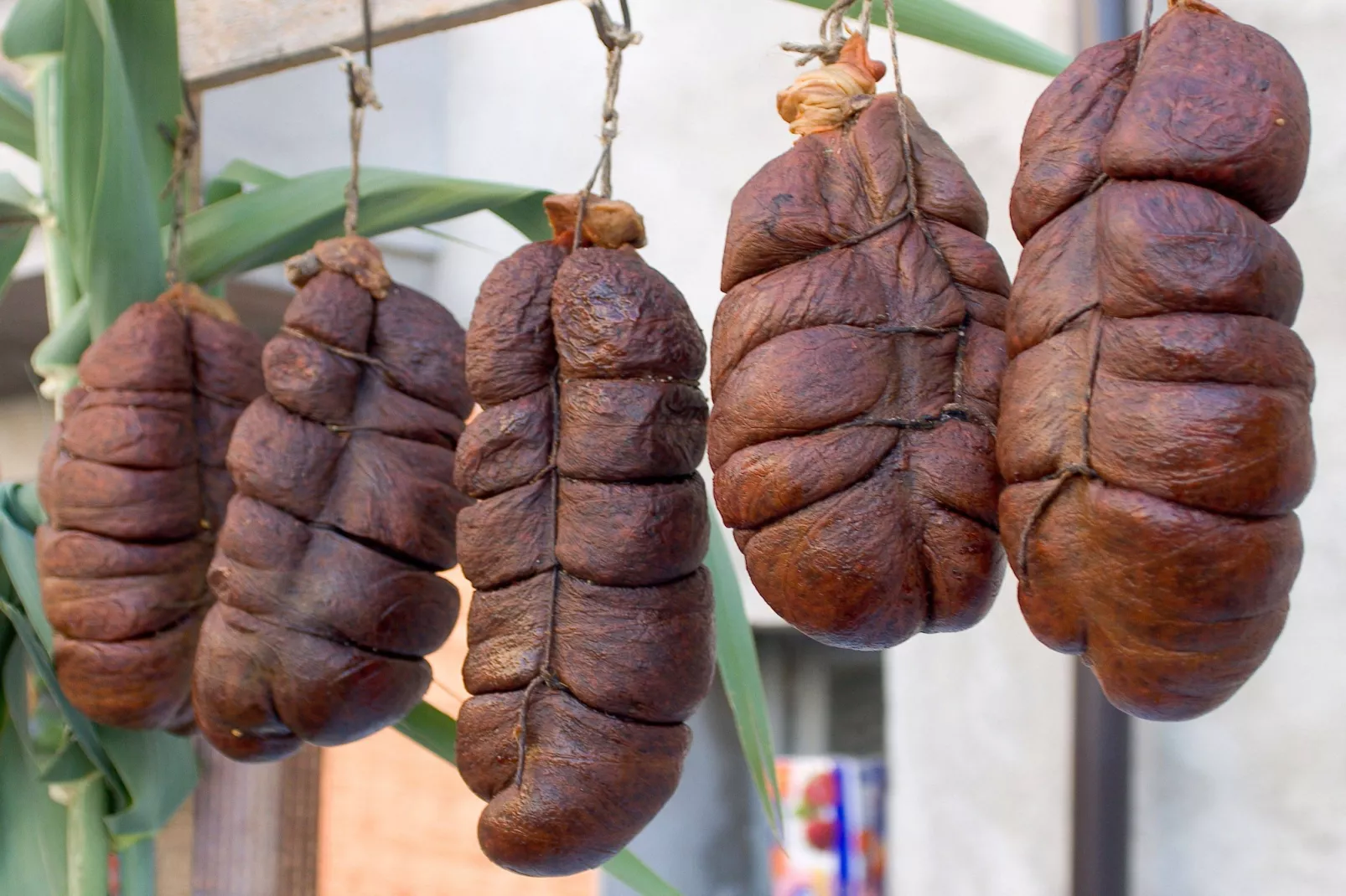 Nduja-Gebieden zomer 20km