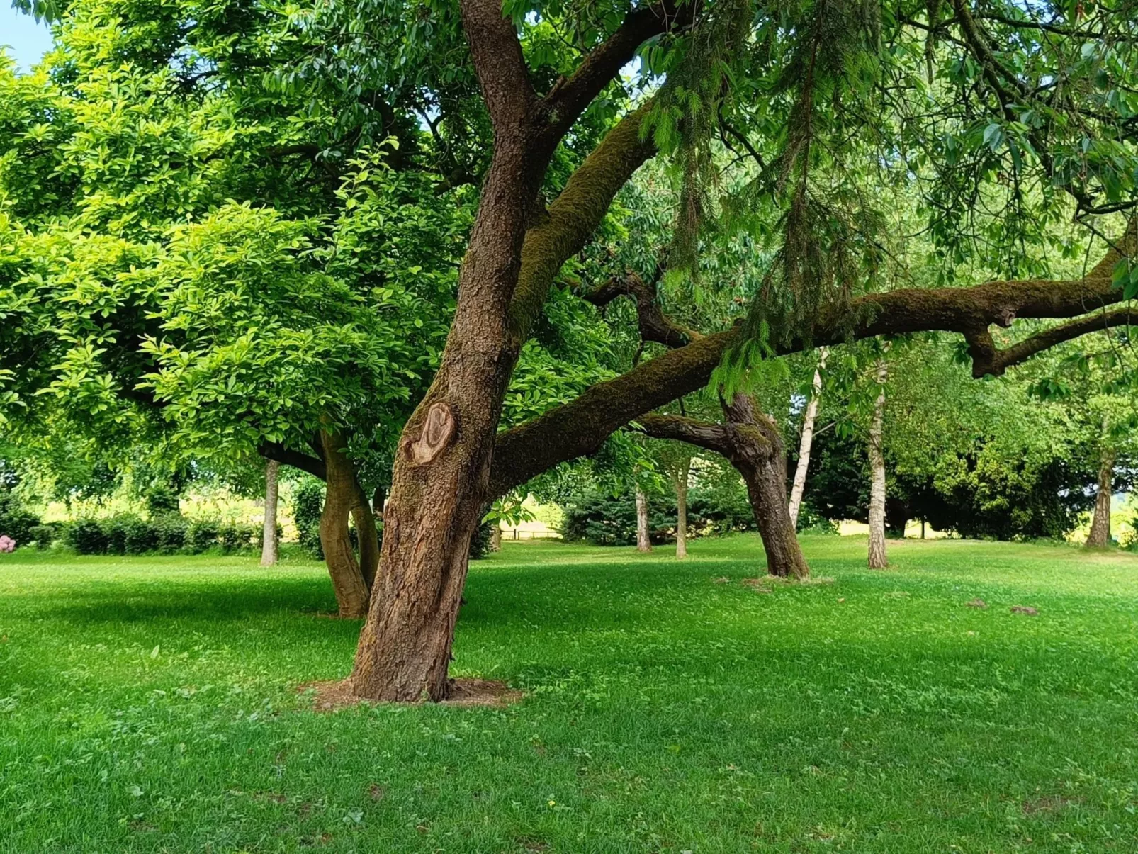 Coproyshof am See - Image-tags.info