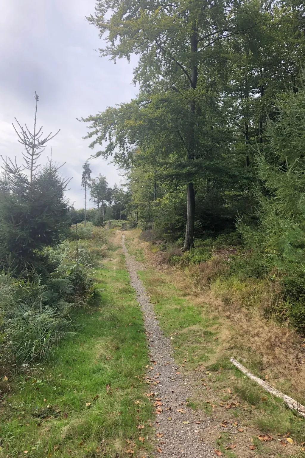 Gartenblick - Image-tags.info