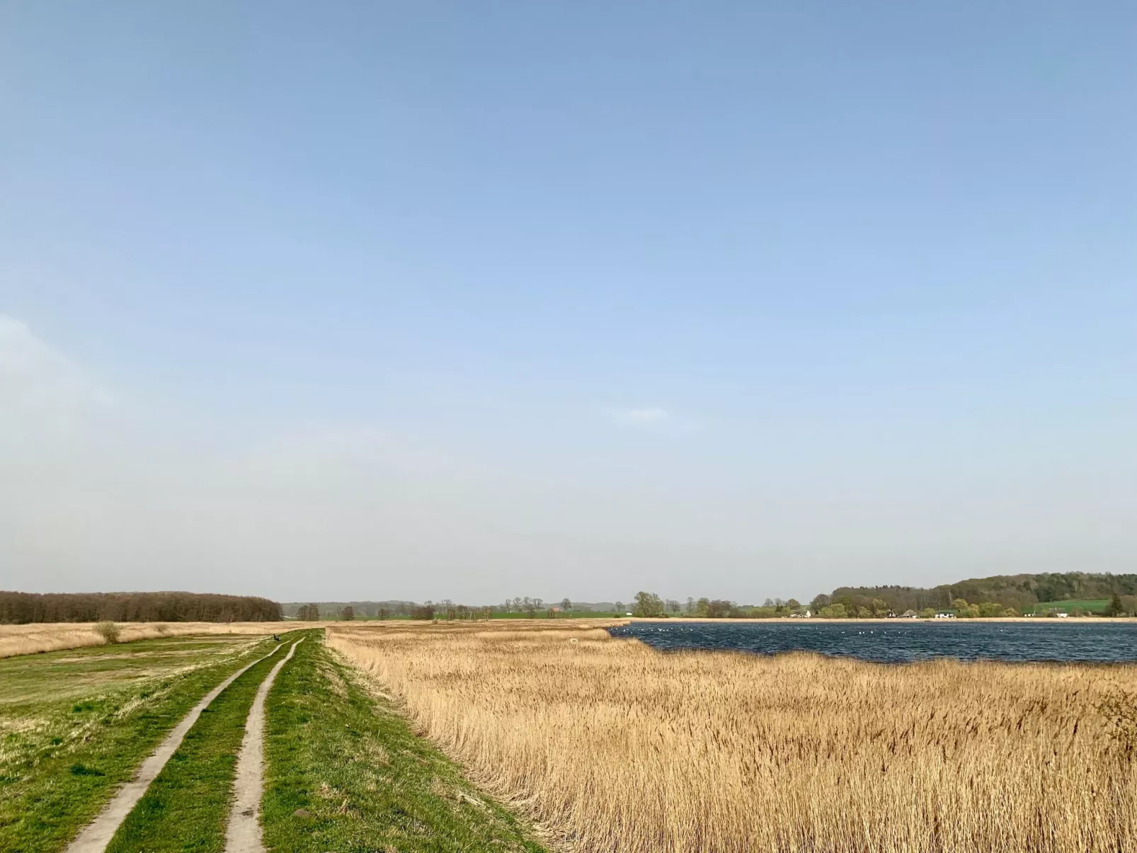 Mit Balkon - Image-tags.info