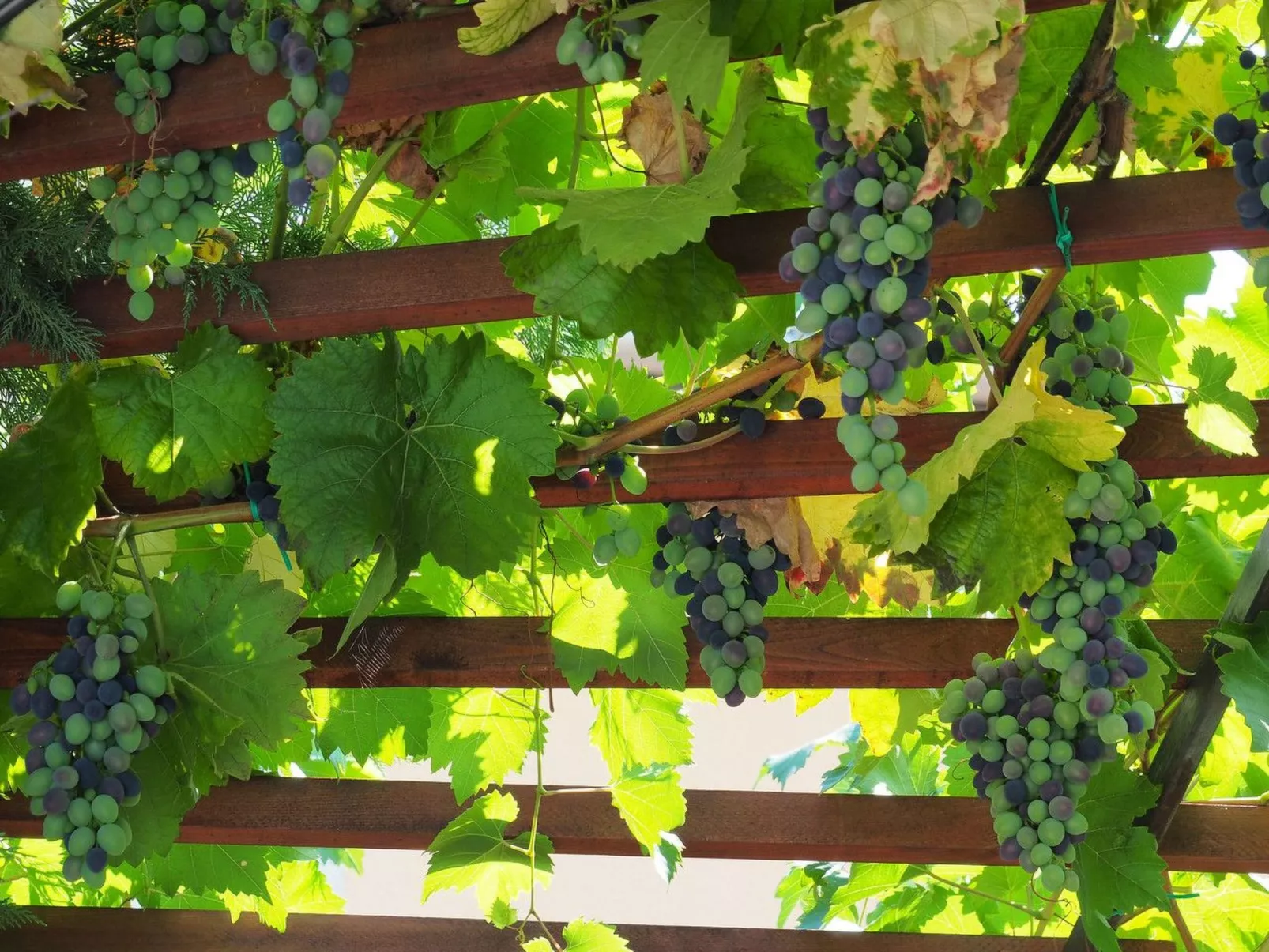 Art House Rovinj-Holiday - Image-tags.info