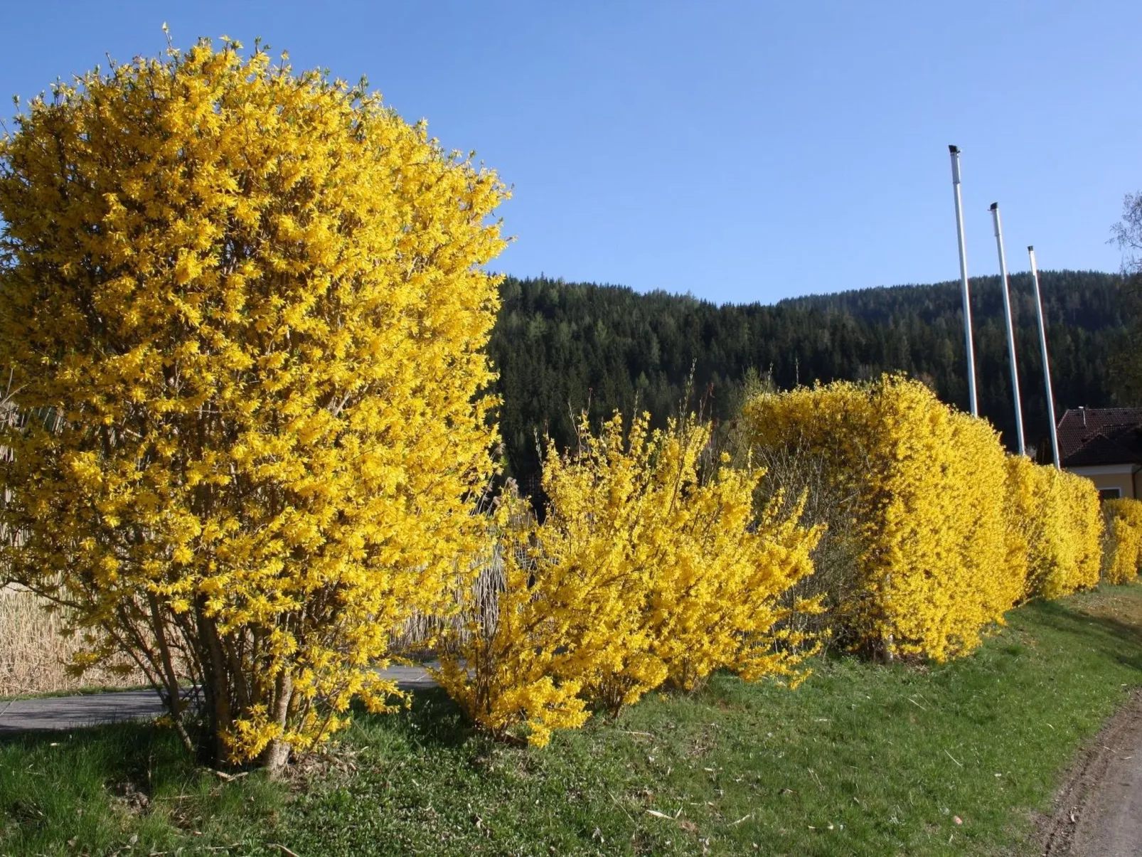 In Murau mit Privatem Pool - Image-tags.info