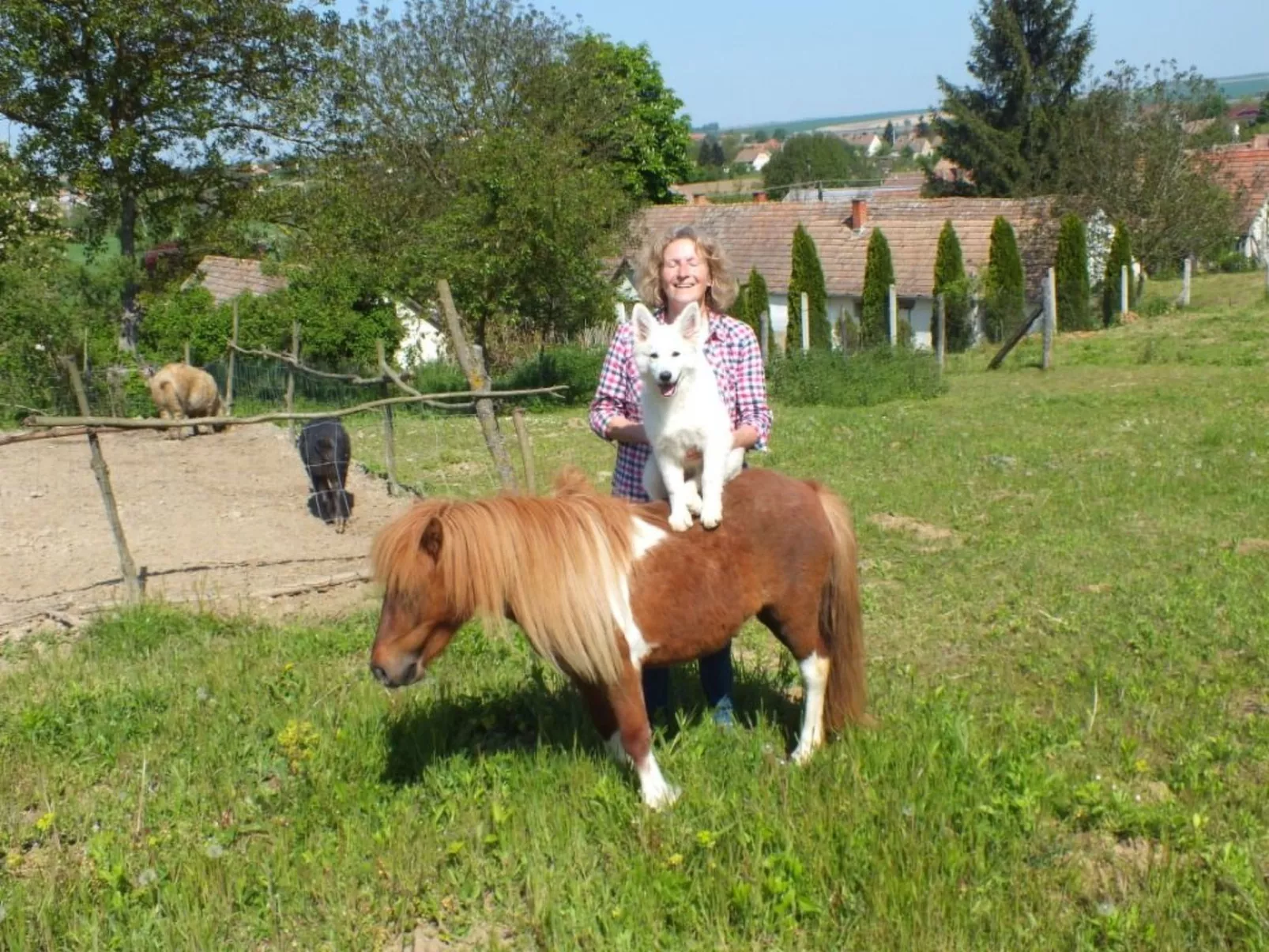 In Döbrököz mit privatem Pool - Image-tags.info