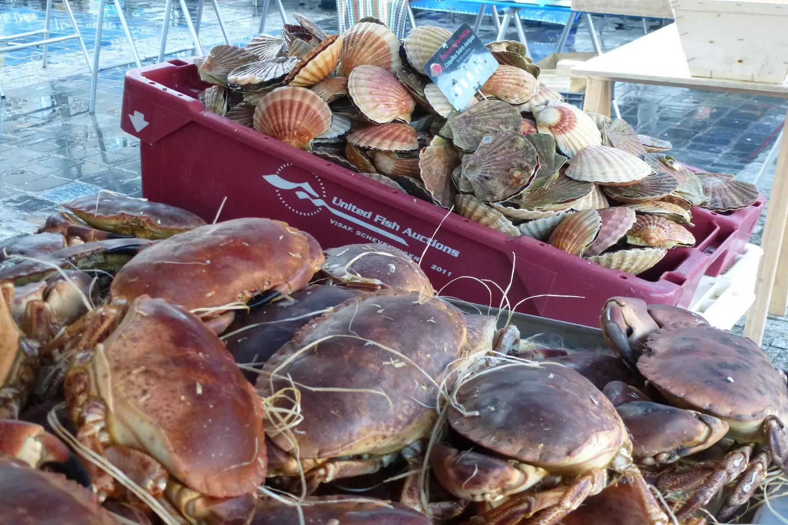 Gîte "Yvonne" à Plurien - Gebieden zomer 20km