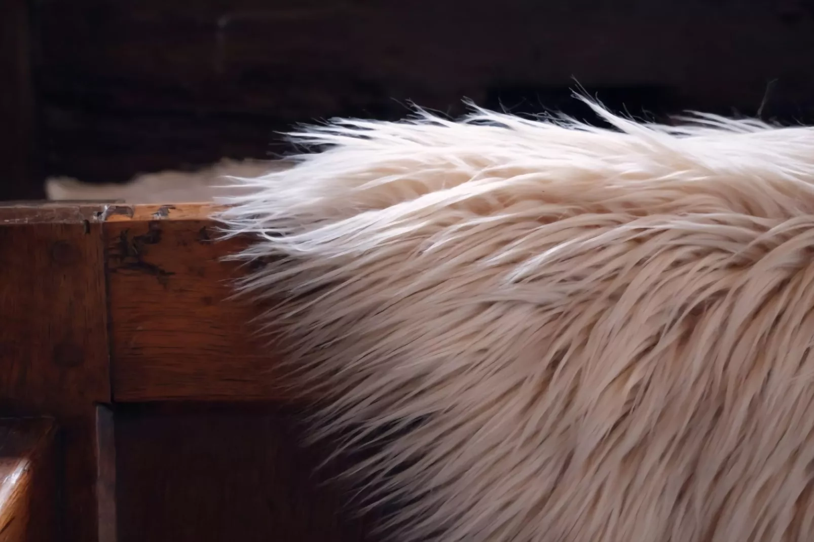 Gite L'éternité - Sfeer