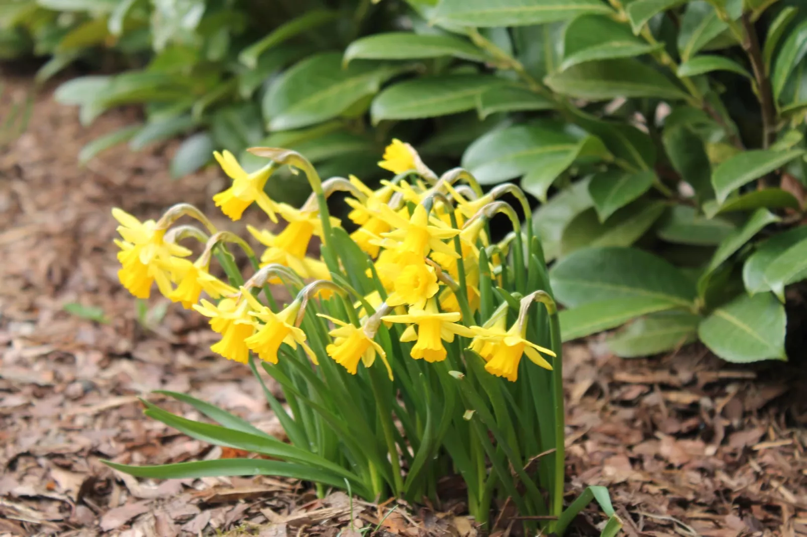 Strandnahes Ferienhaus Klaus mit Weitblick - Sfeer