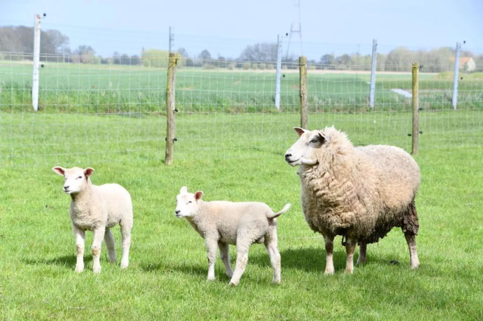 DE BRANDING 601-Gebieden zomer 20km