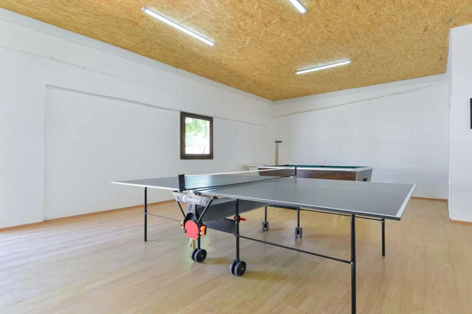 Marinic Comfortable holiday residence-Sportzaal