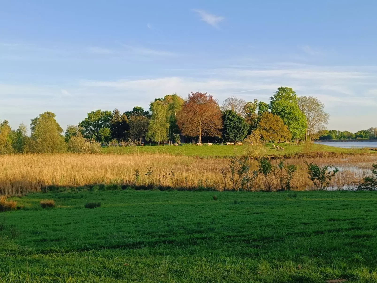 Coproyshof am See - Image-tags.info