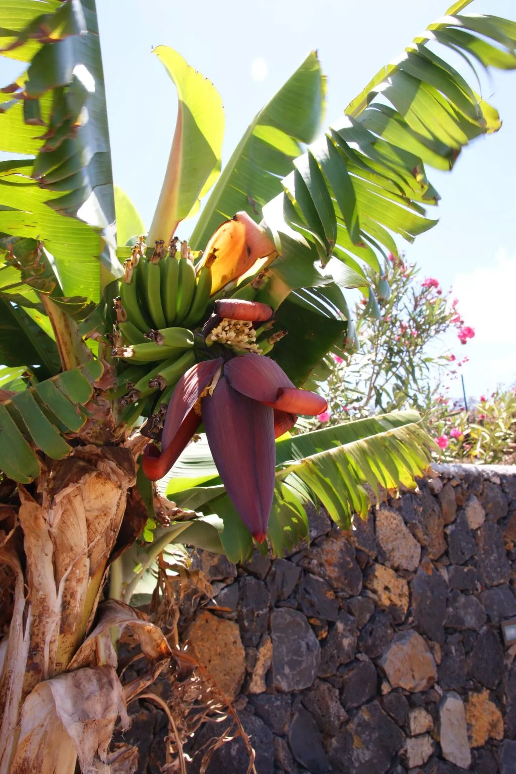 Romantische Ferienvilla mit Infinity-Pool und Panoramameerblick - Image-tags.info