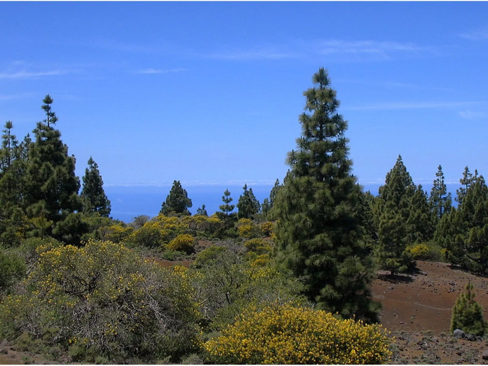 Nettes Ferienhaus in Tijarafe mit Privatem Pool und Panoramablick - Image-tags.info