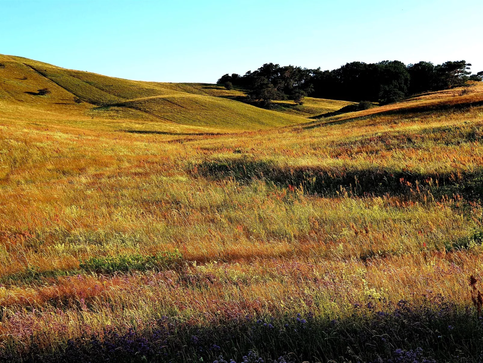 TRADITIONELLES REETDACHHAUS MIT SAUNA, KAMINOFEN UND PRIVATEM WASSERZUGANG - Image-tags.info