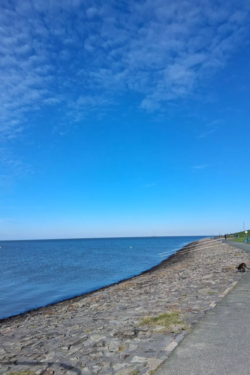 LouJa - Image-tags.info