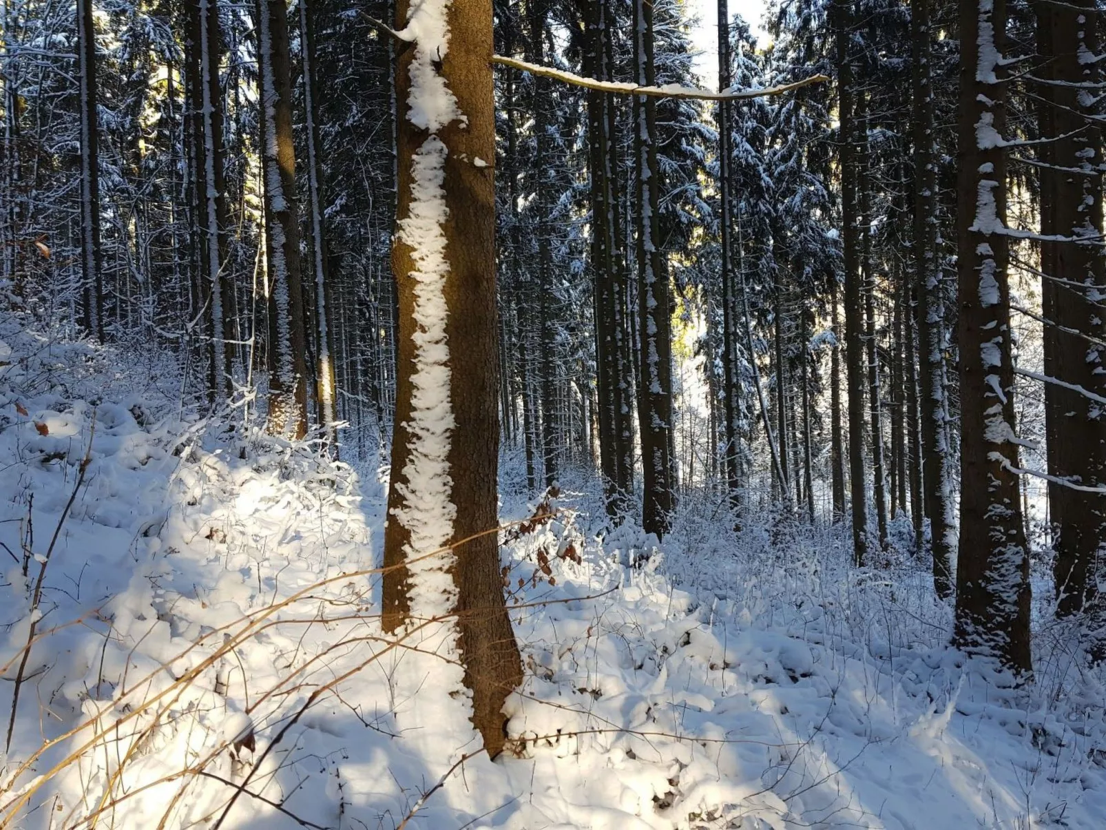 Komfortwohnung - Image-tags.info