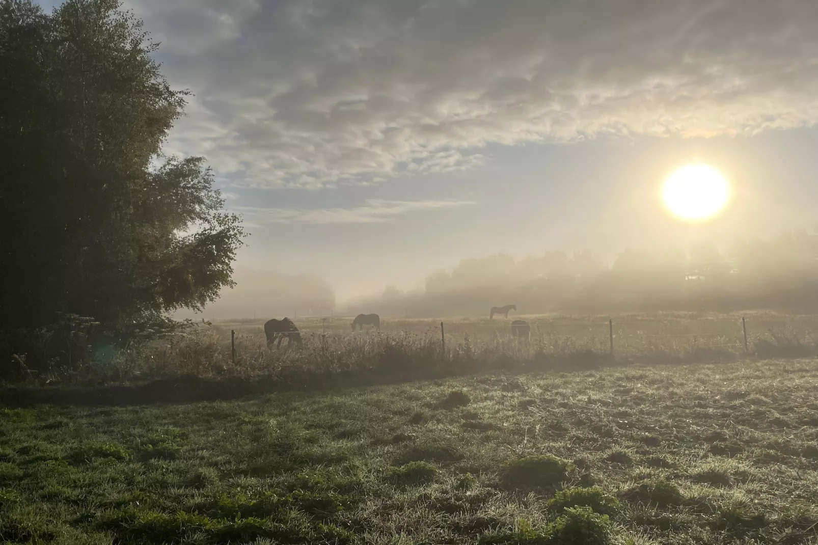 Floating House Paula - Gebieden zomer 20km