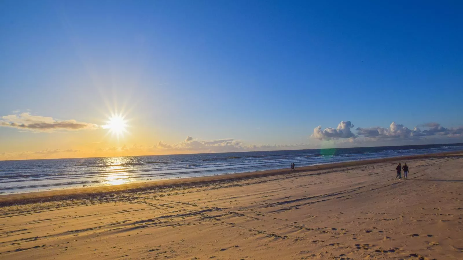 Duinland - Gebieden zomer 5km