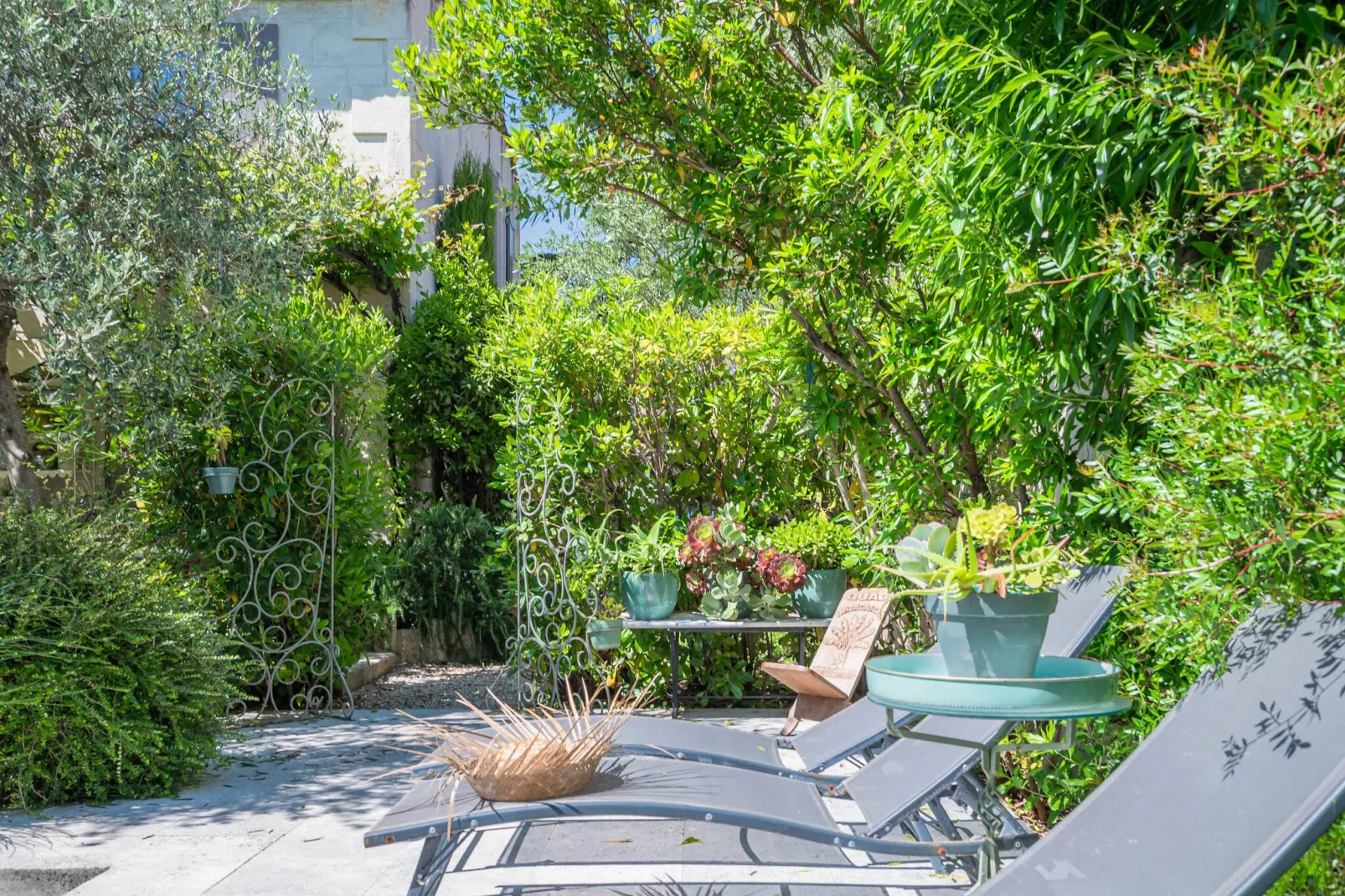 Mas authentique à Paradou Alpilles-Tuinen zomer