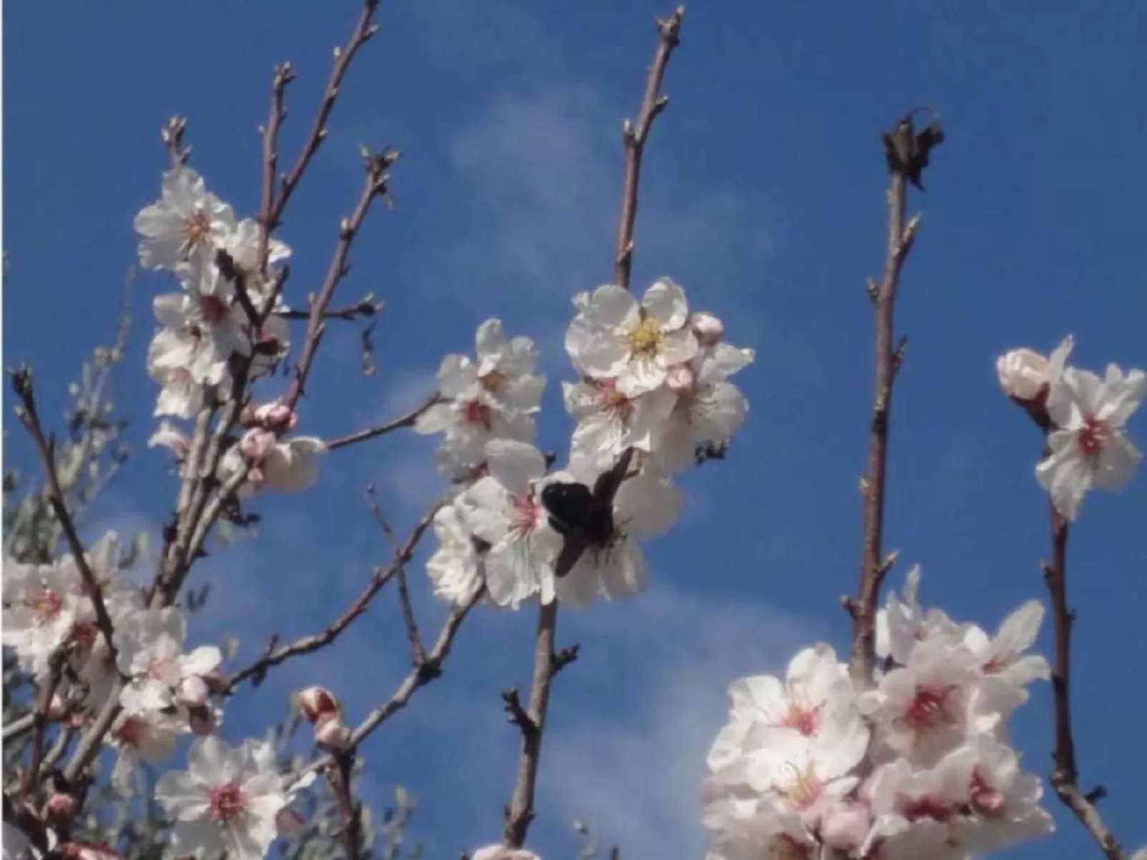 Locations-06 - Die Eugenie - Image-tags.info