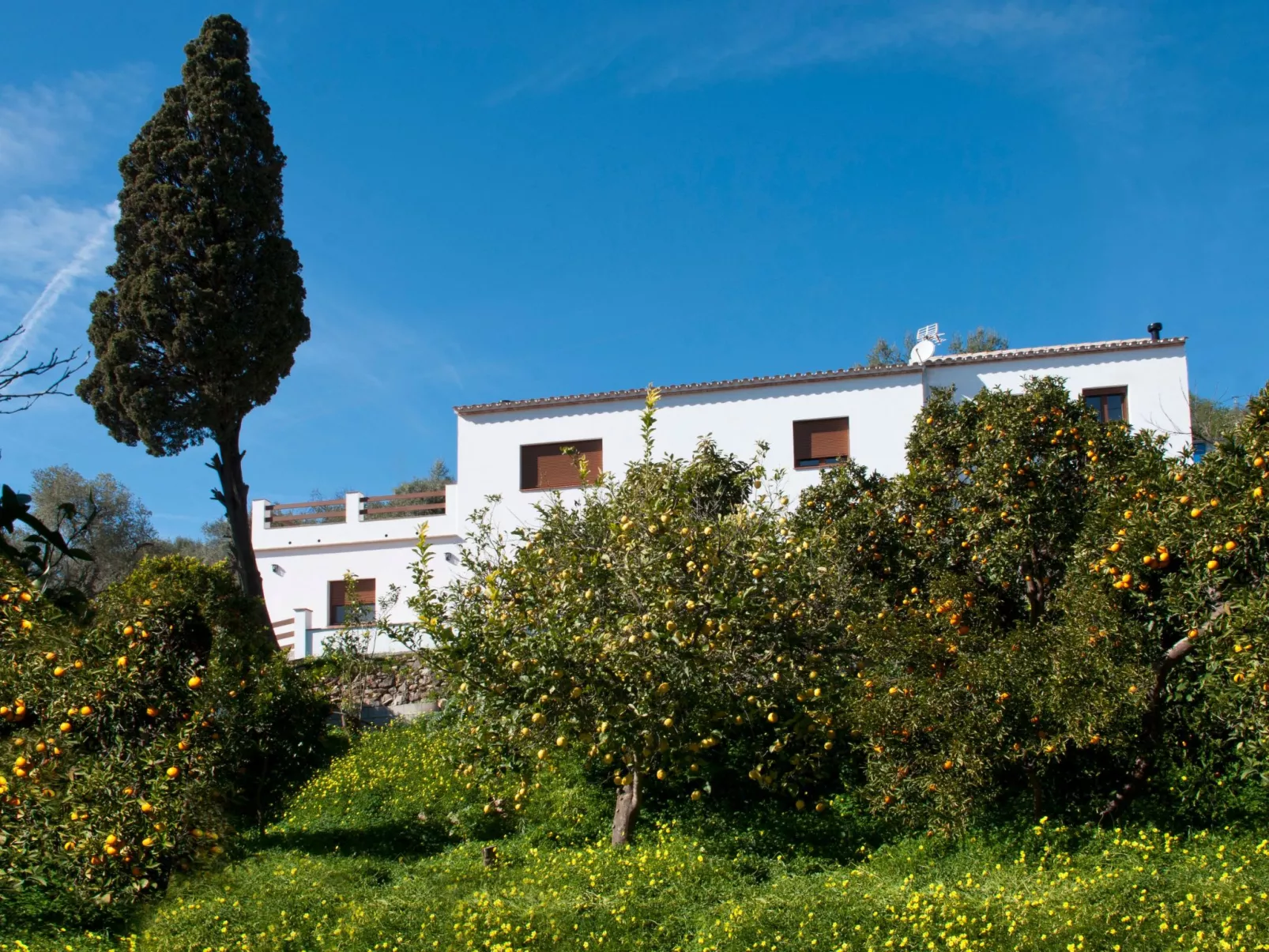 Villa La Noria, mit privatem Pool, Wifi, Garten - Image-tags.info