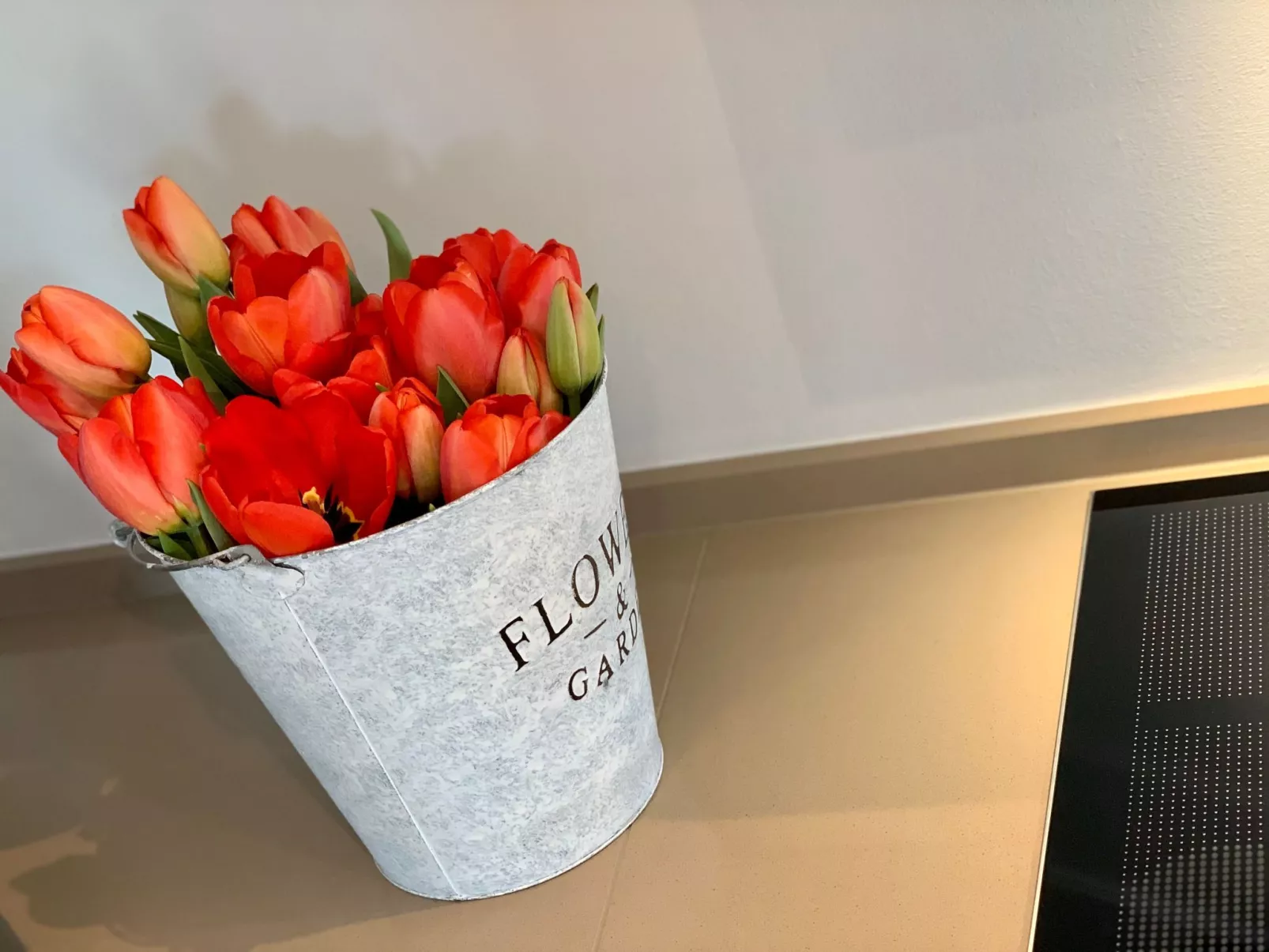 Reethus Linda am Schloß Groß Schwansee - Image-tags.info