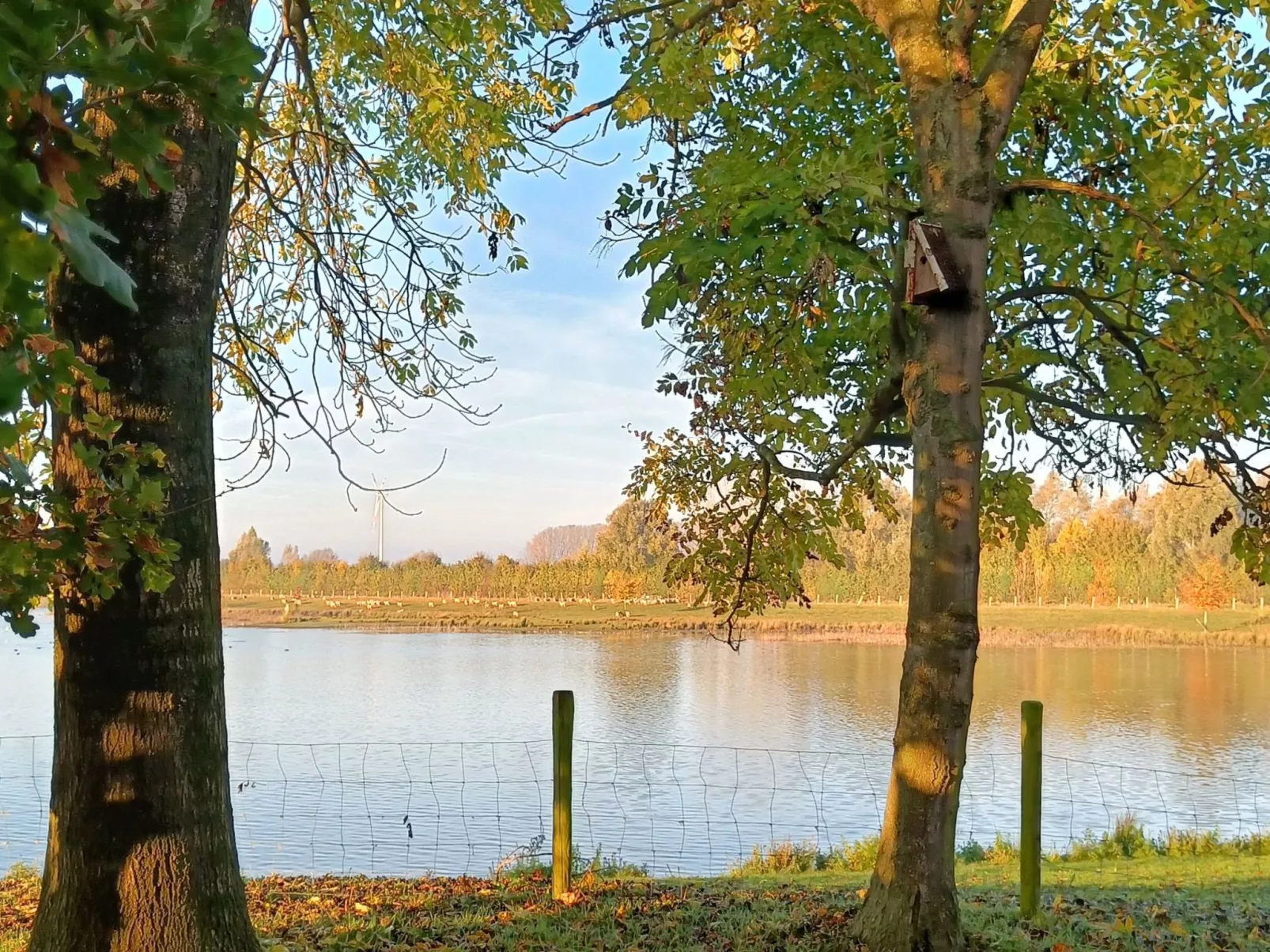 Coproyshof am See - Image-tags.info