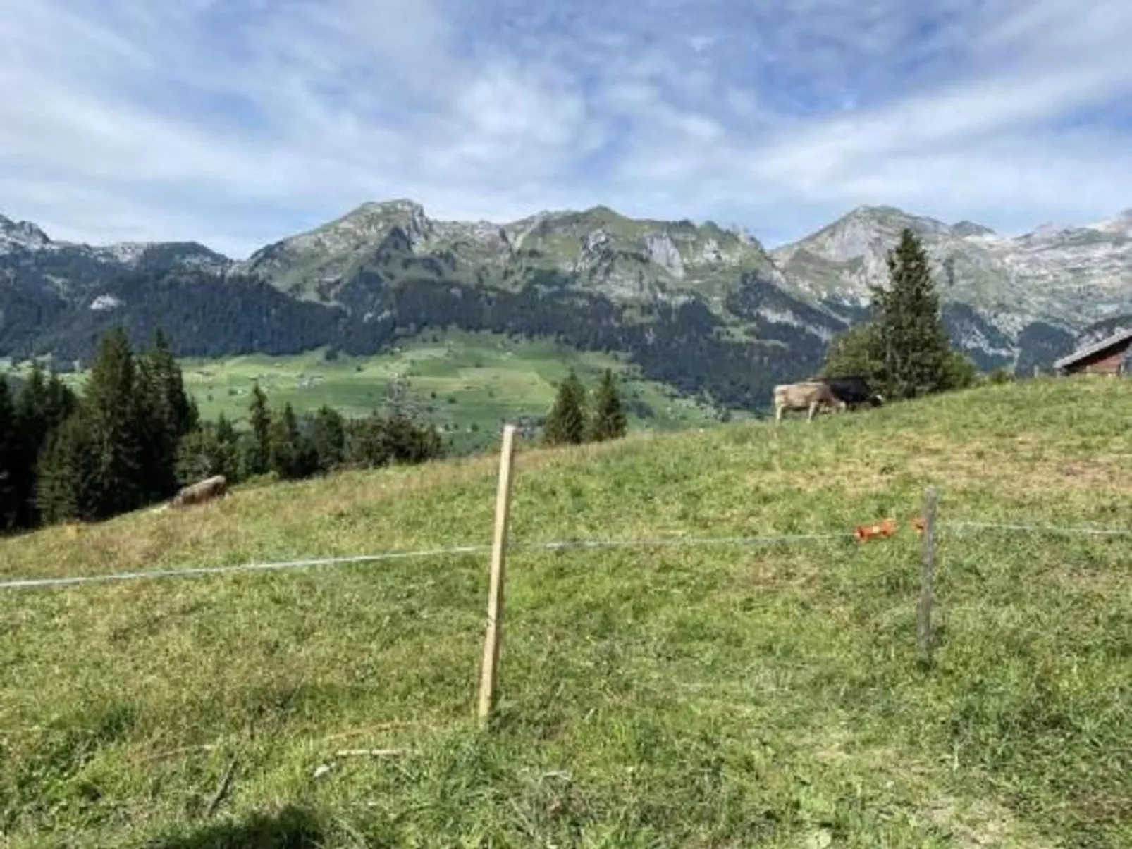 Chalet mit Garten, Grill und Terrasse - Image-tags.info