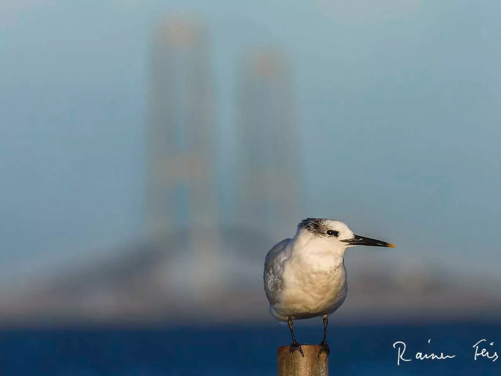 Skaerven Beachfront Wohnung D - Image-tags.info