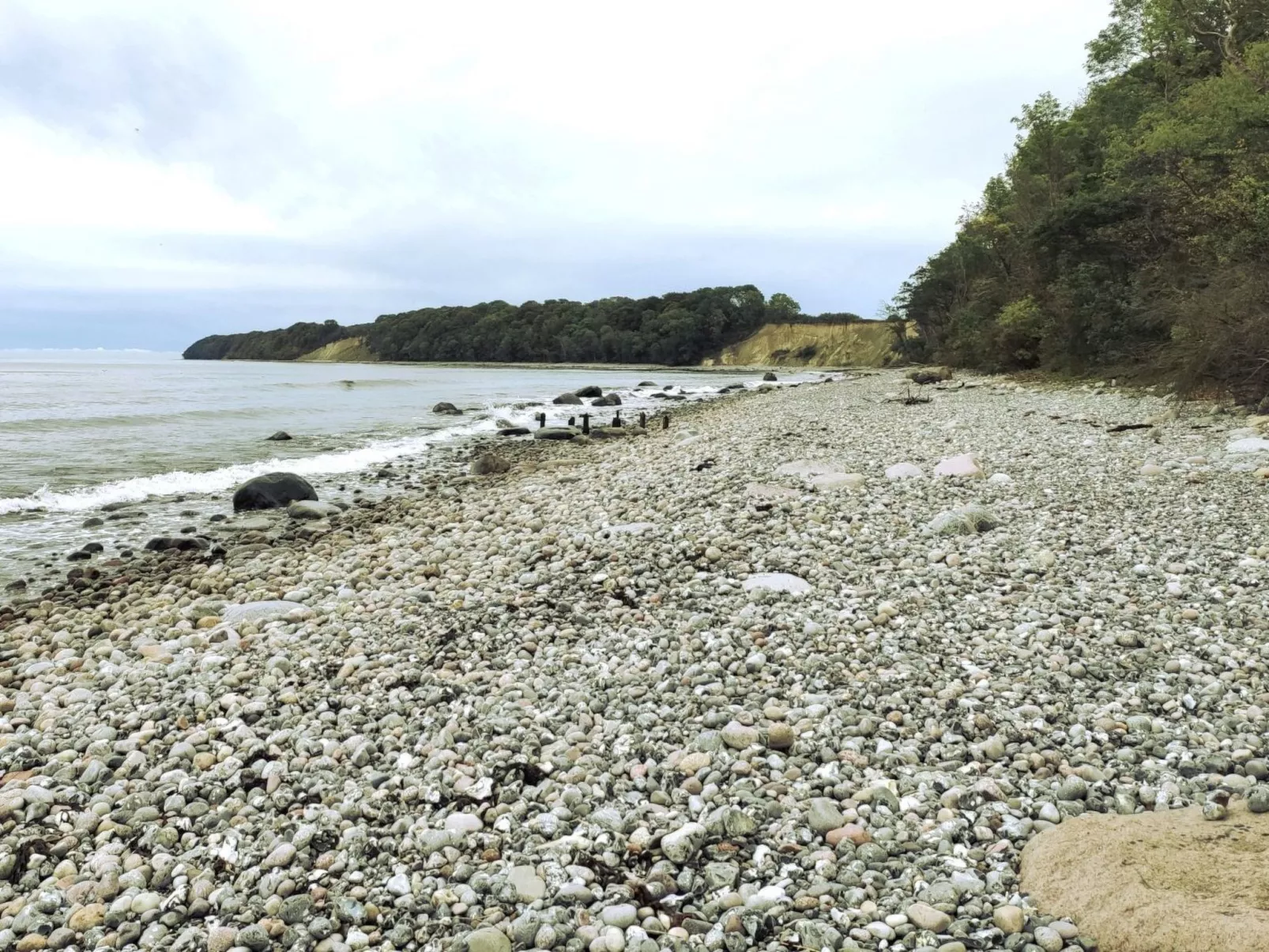 Lena - Image-tags.info