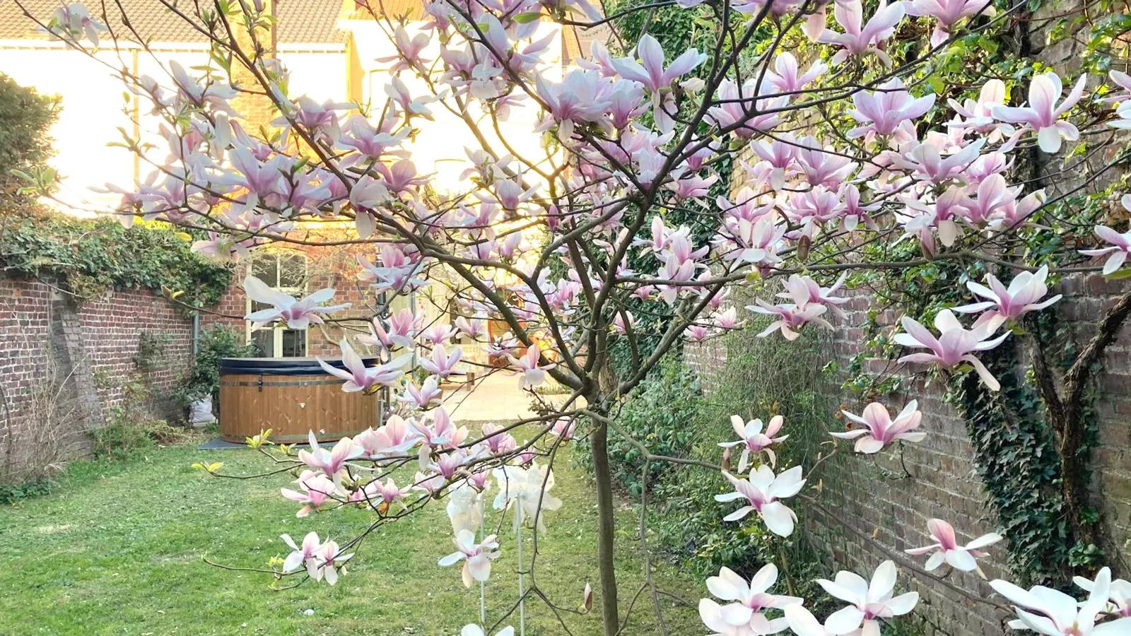 La Maison Bleue Ronse - Tuinen zomer