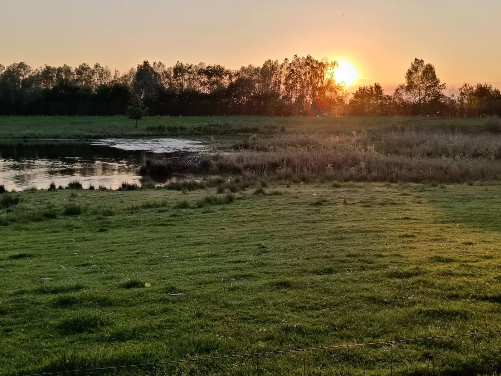 Coproyshof am See - Image-tags.info