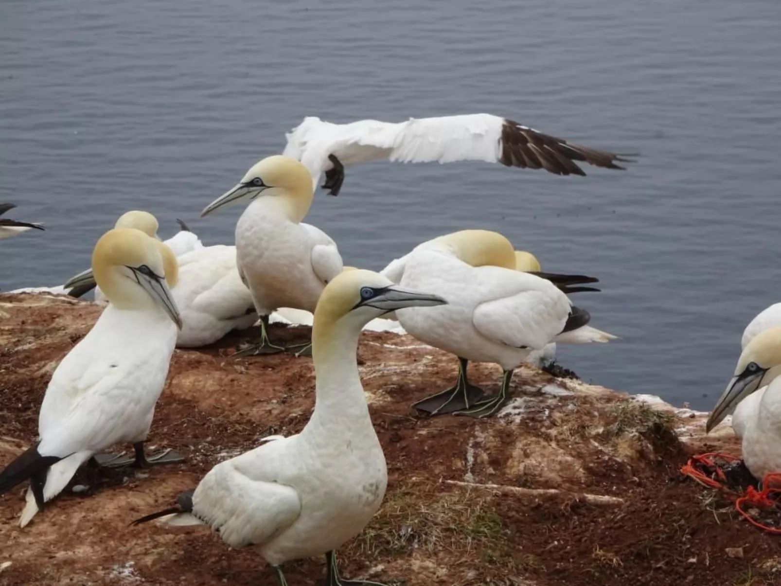 Wellnesshaus Seeperle - All Inklusive - Image-tags.info