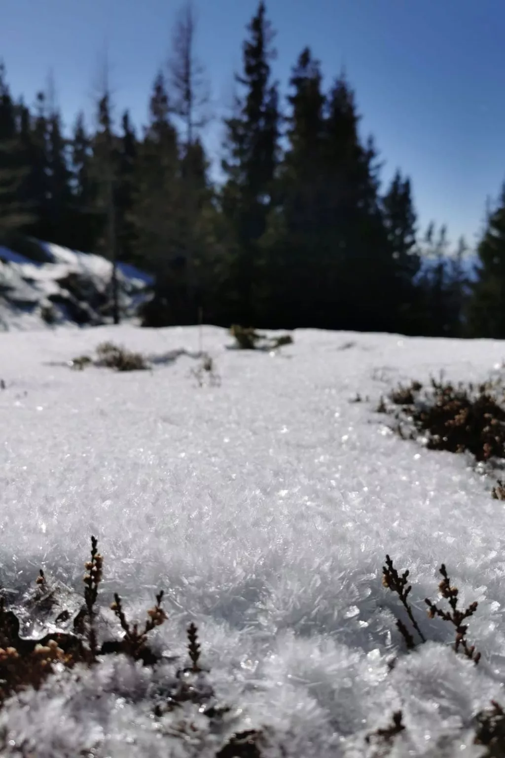 Jagdhütte - Image-tags.info