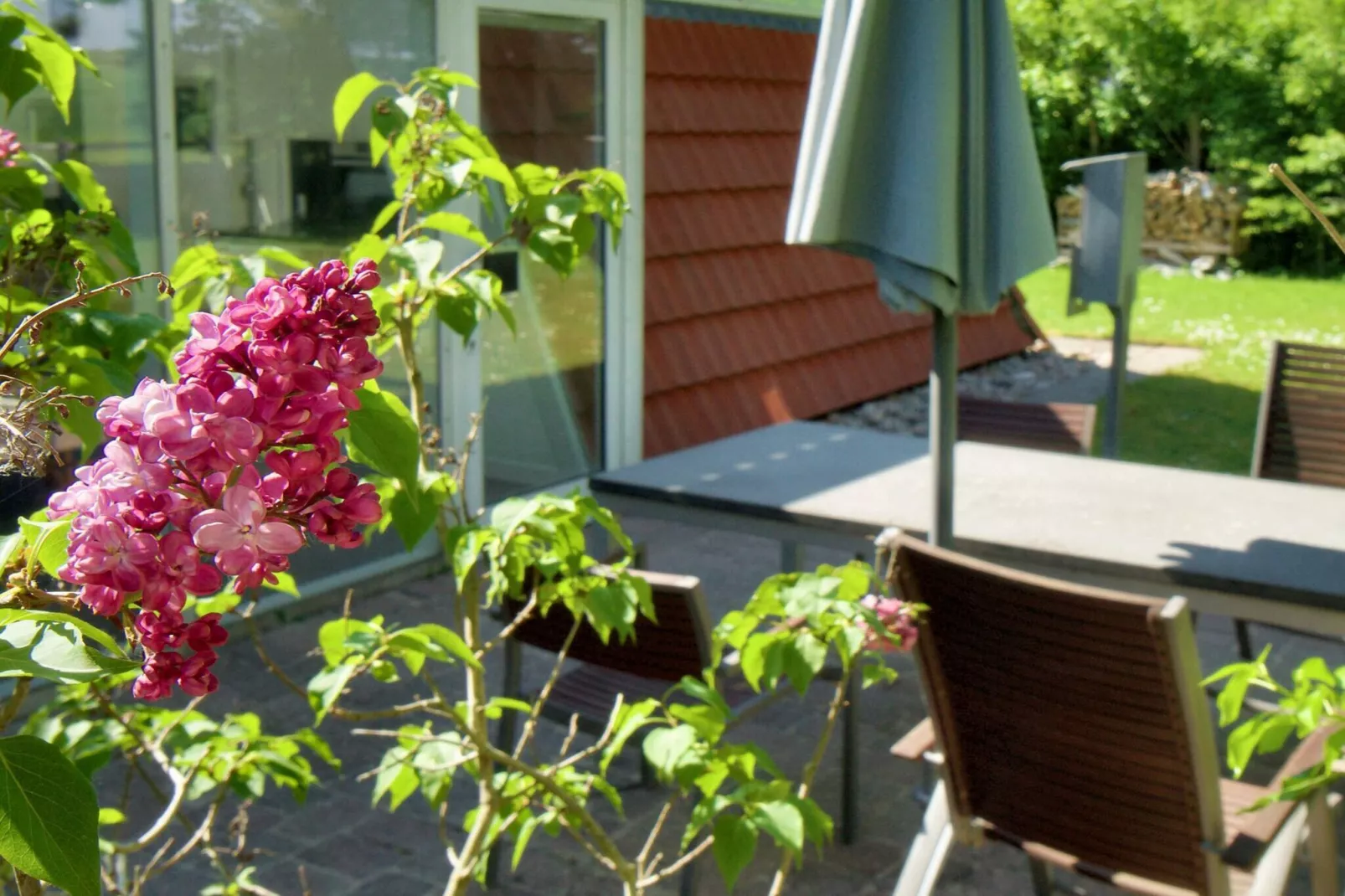 5 persoons vakantie huis in Gilleleje-By Traum - Uitzicht