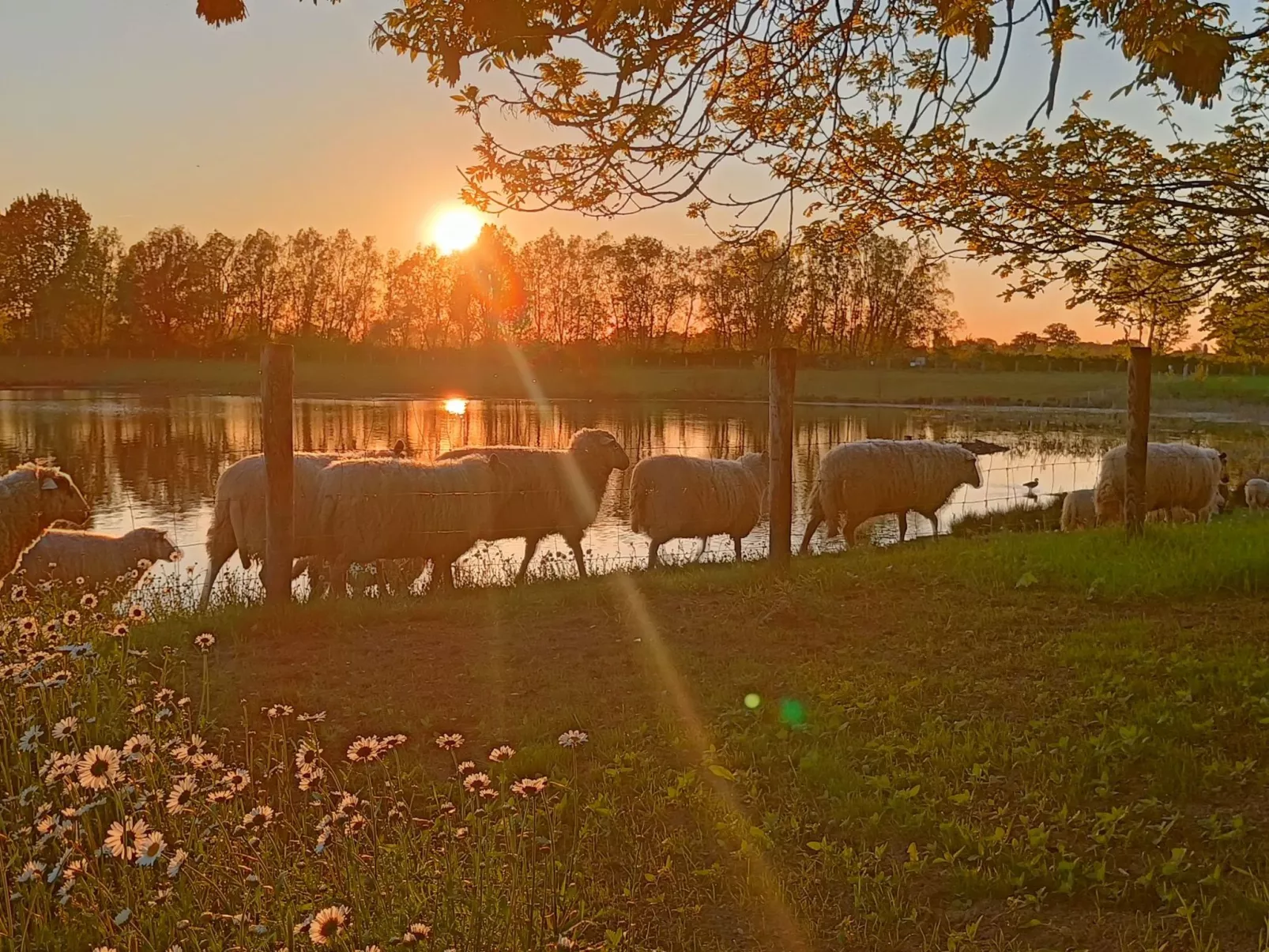 Coproyshof am See - Image-tags.info