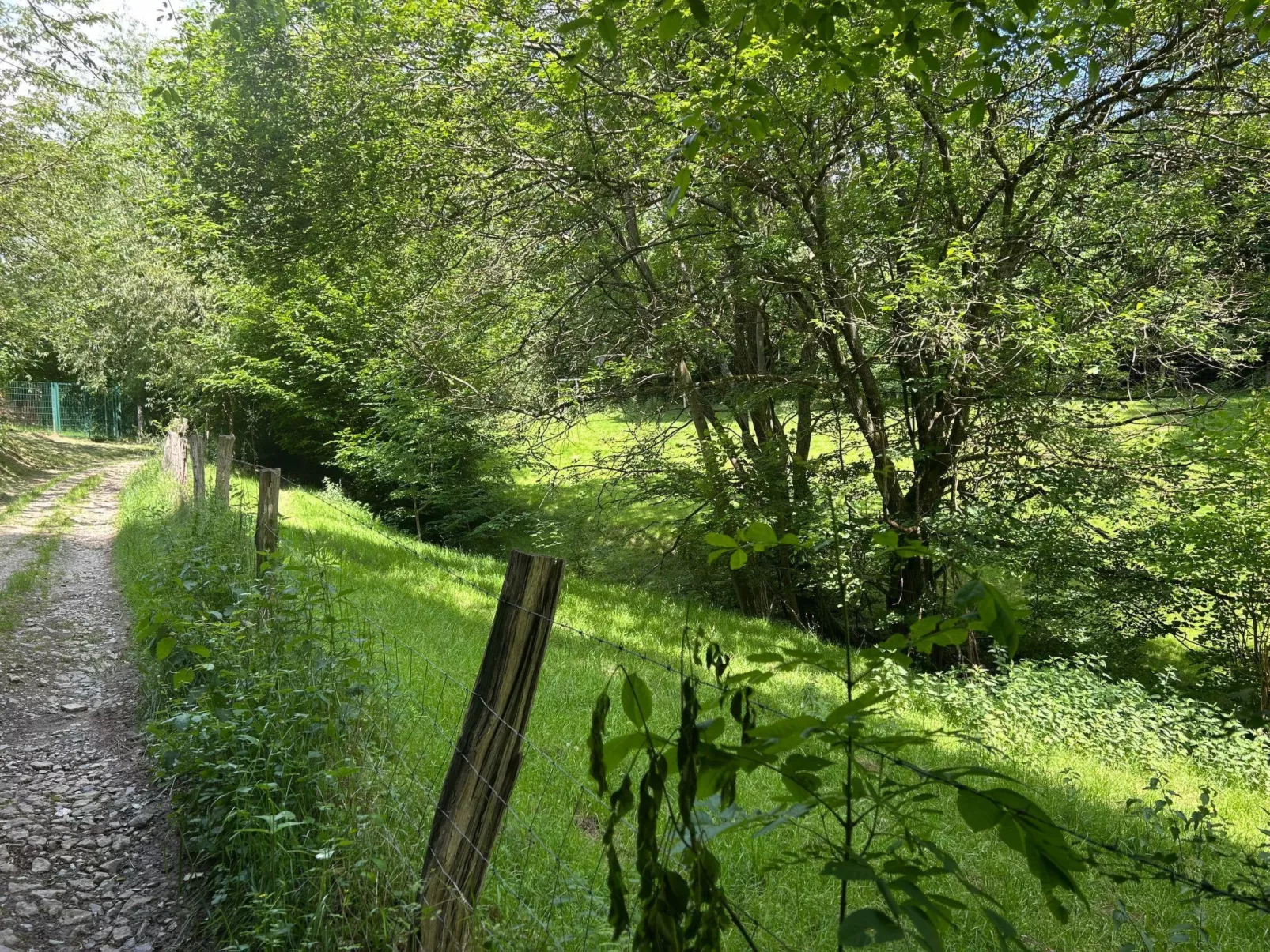 The Forest Retreat - Image-tags.info